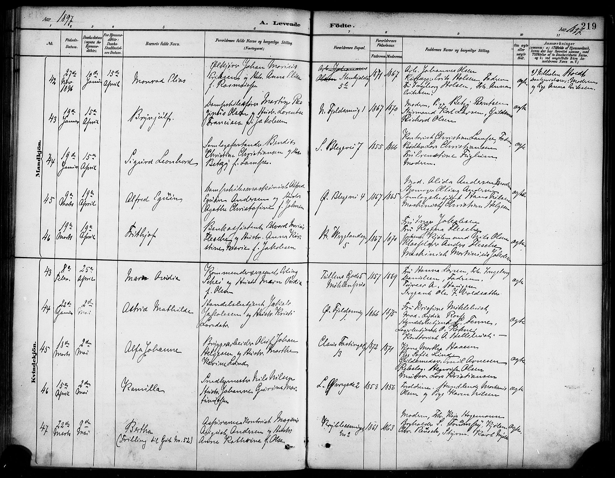 Korskirken sokneprestembete, SAB/A-76101/H/Haa/L0022: Parish register (official) no. B 8, 1889-1899, p. 219