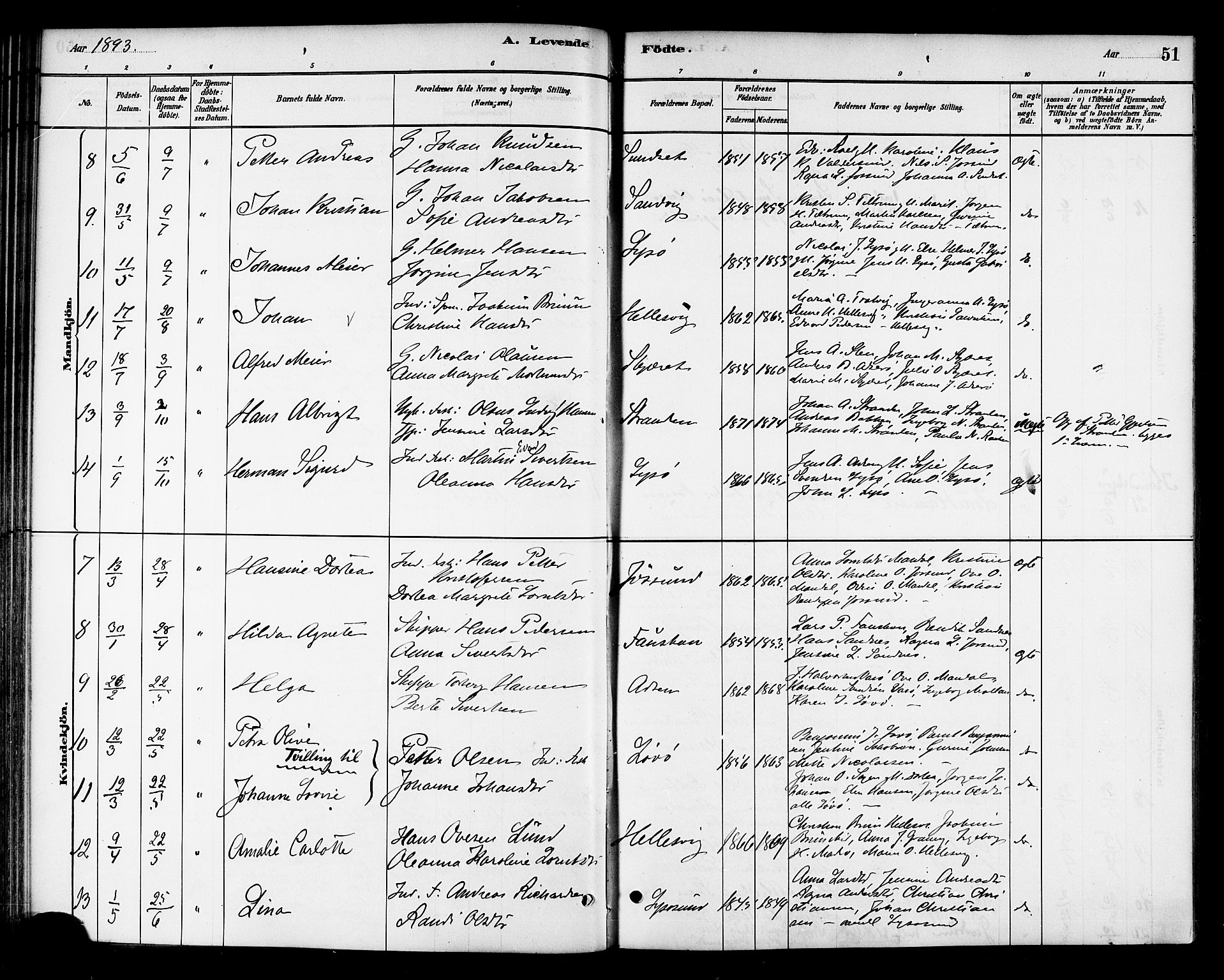 Ministerialprotokoller, klokkerbøker og fødselsregistre - Sør-Trøndelag, SAT/A-1456/654/L0663: Parish register (official) no. 654A01, 1880-1894, p. 51