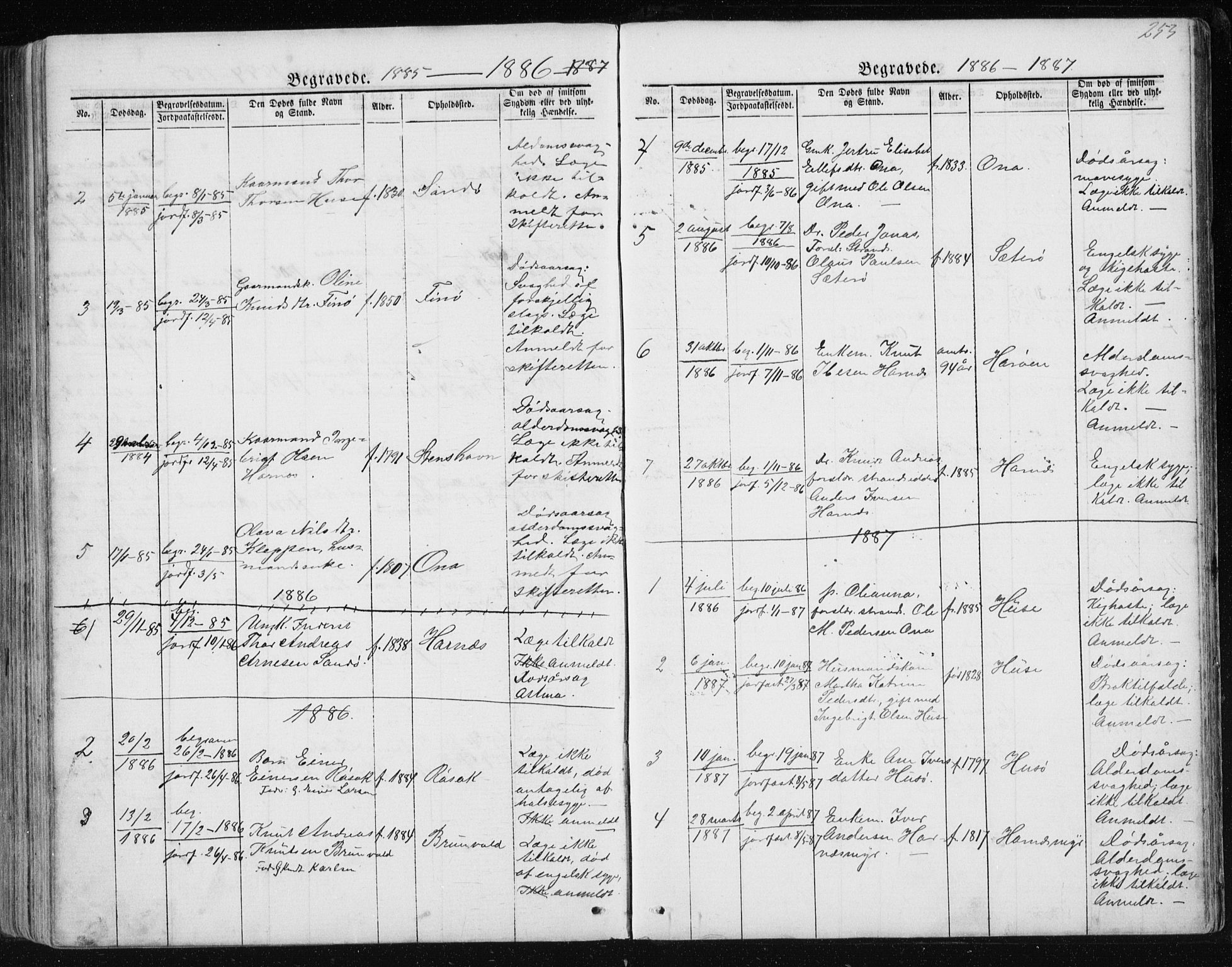 Ministerialprotokoller, klokkerbøker og fødselsregistre - Møre og Romsdal, AV/SAT-A-1454/561/L0732: Parish register (copy) no. 561C02, 1867-1900, p. 253