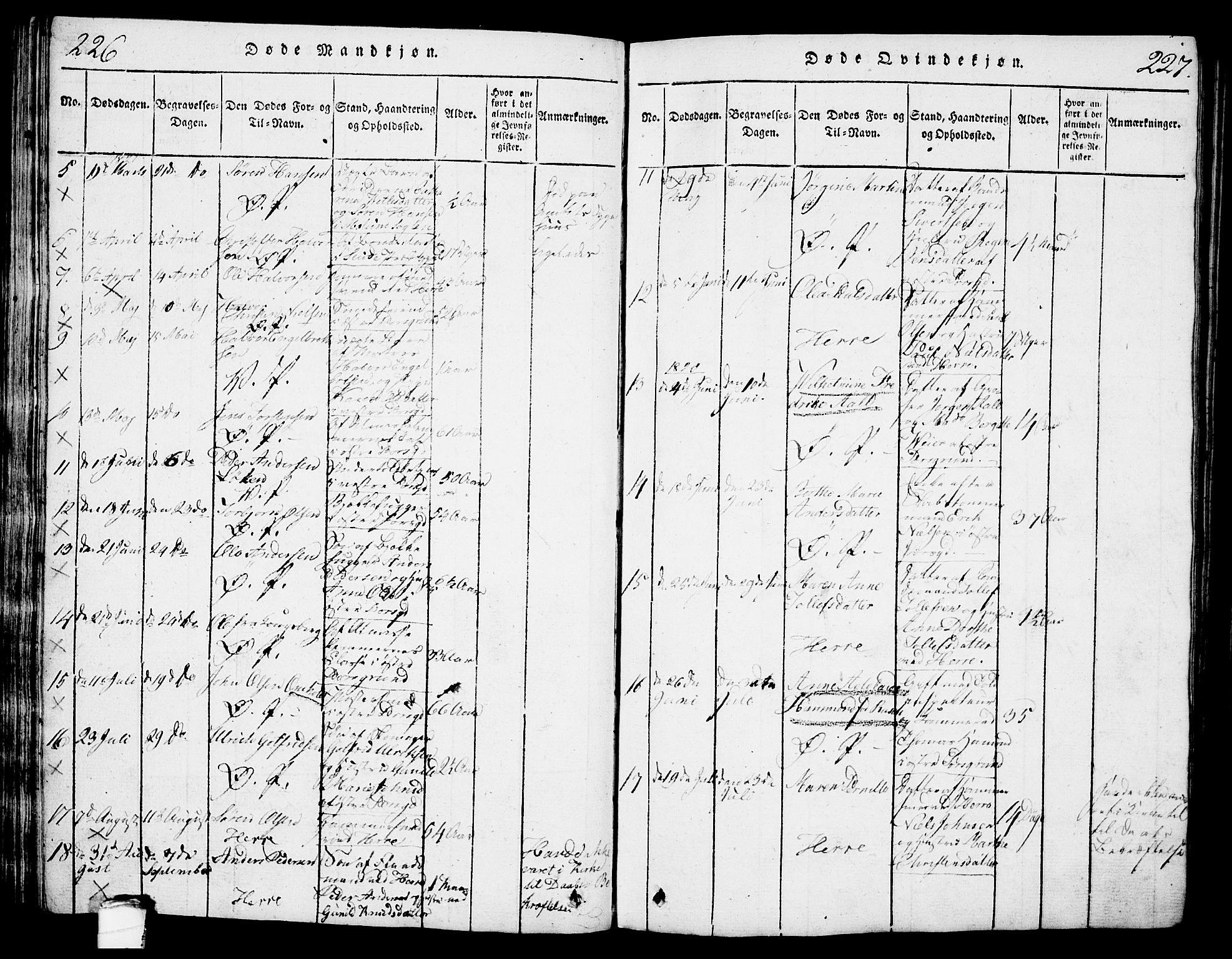 Porsgrunn kirkebøker , SAKO/A-104/G/Gb/L0001: Parish register (copy) no. II 1, 1817-1828, p. 226-227