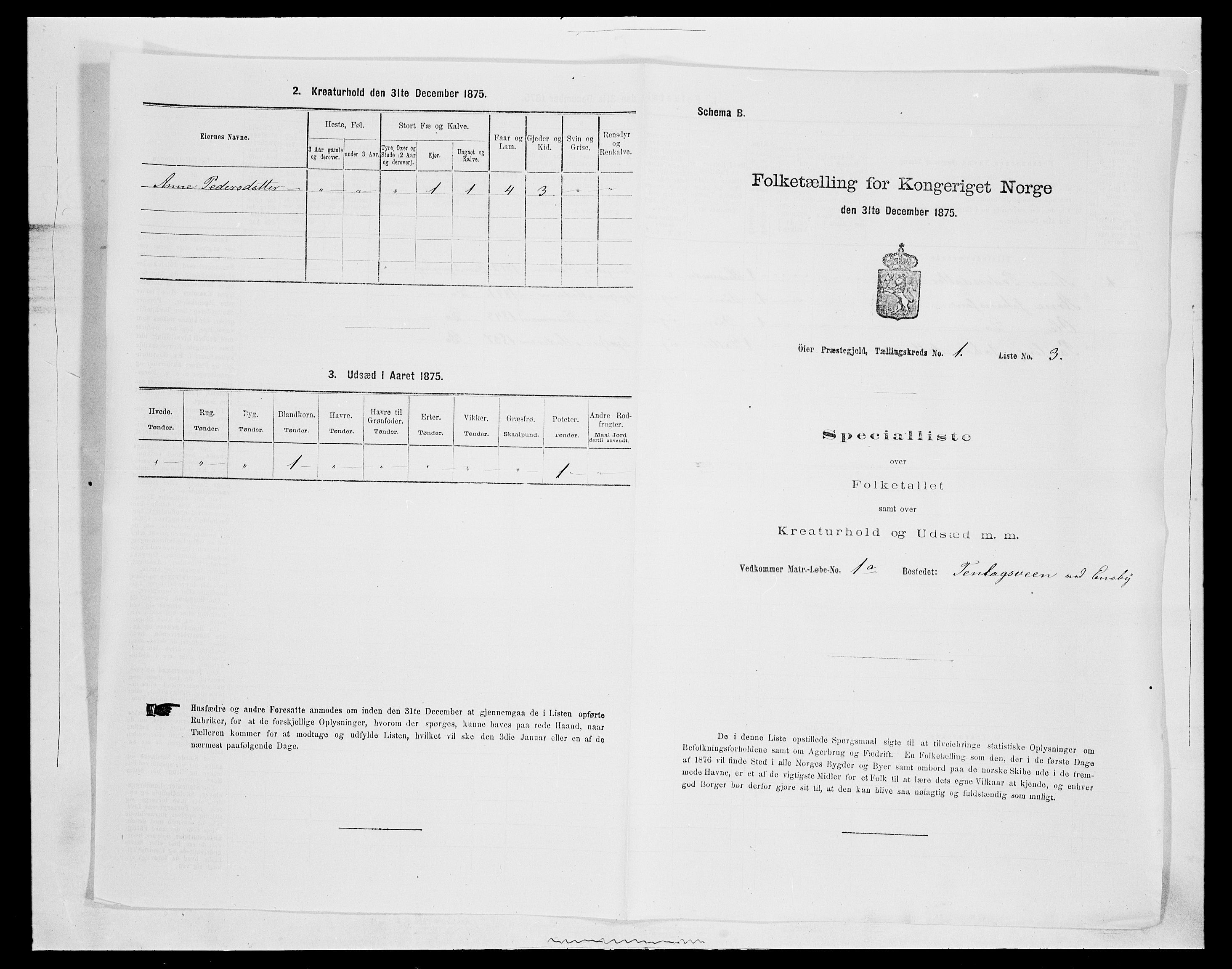 SAH, 1875 census for 0521P Øyer, 1875, p. 94