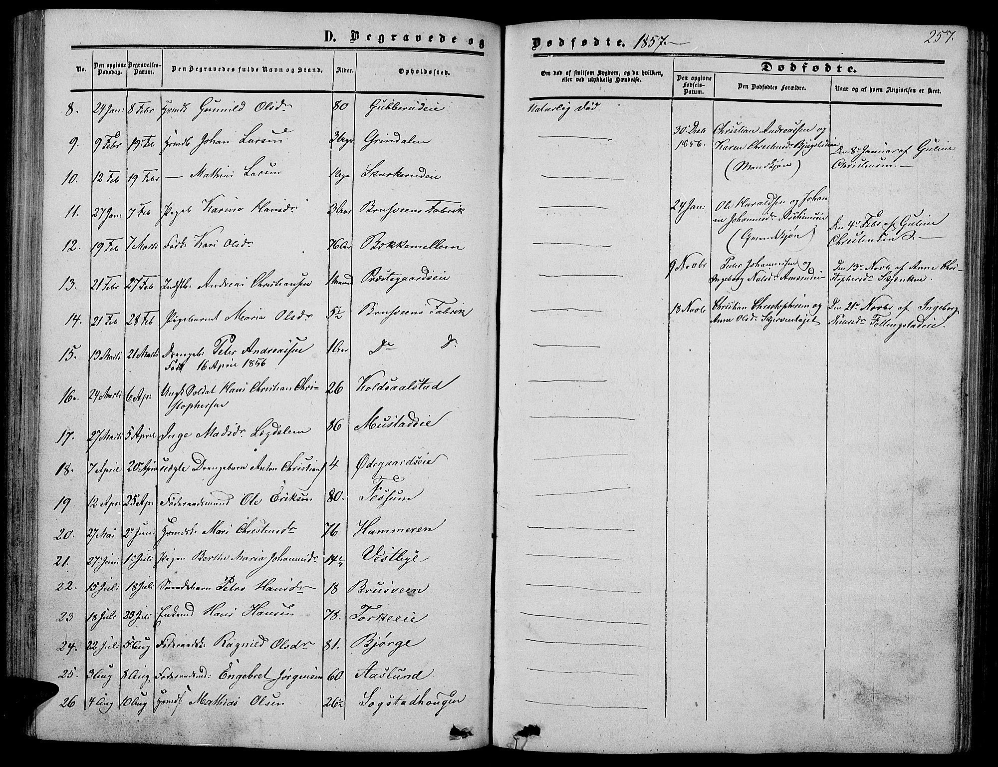 Vardal prestekontor, SAH/PREST-100/H/Ha/Hab/L0005: Parish register (copy) no. 5, 1854-1868, p. 257