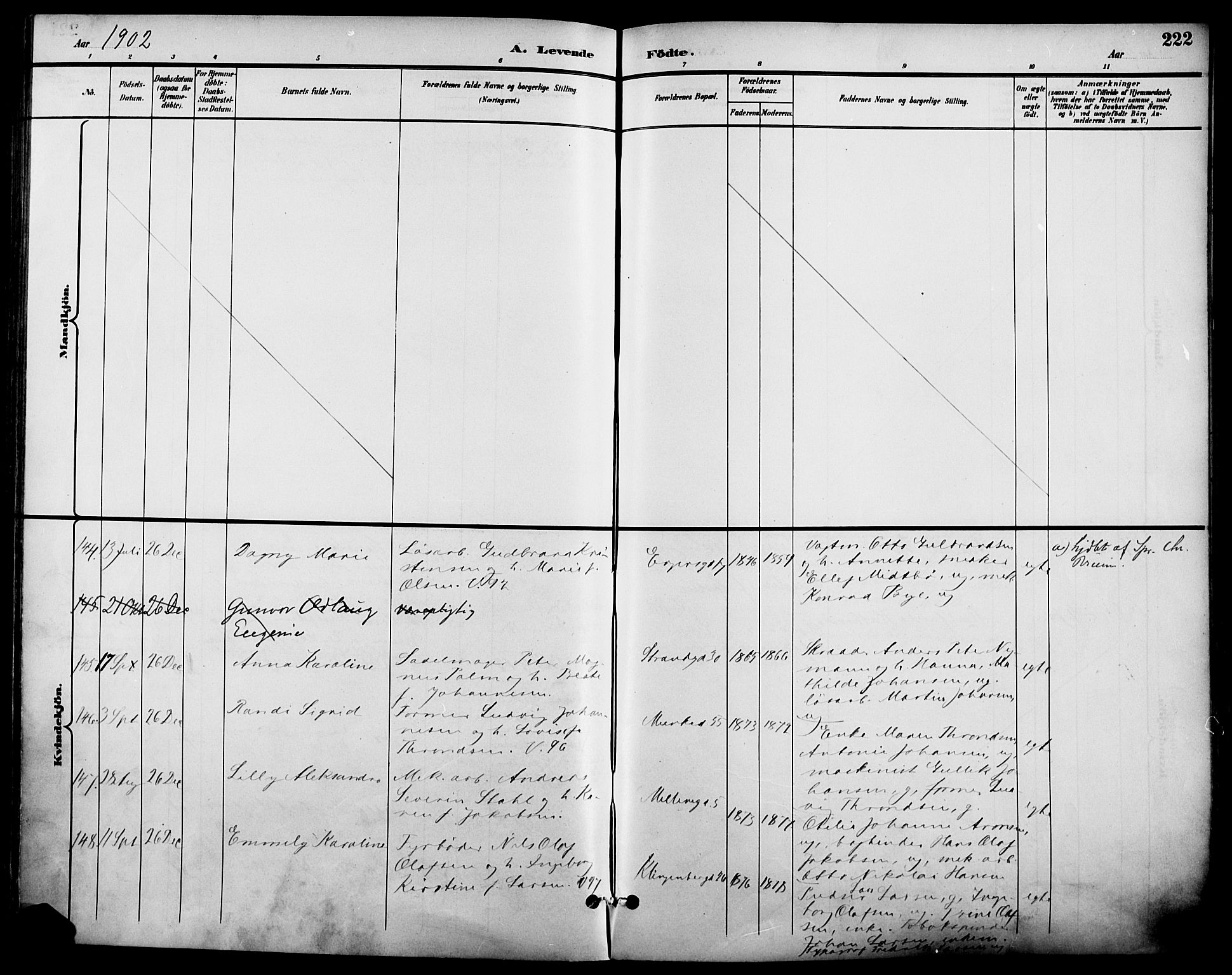 Johannes prestekontor Kirkebøker, SAO/A-10852/F/Fa/L0007: Parish register (official) no. 7, 1896-1905, p. 222