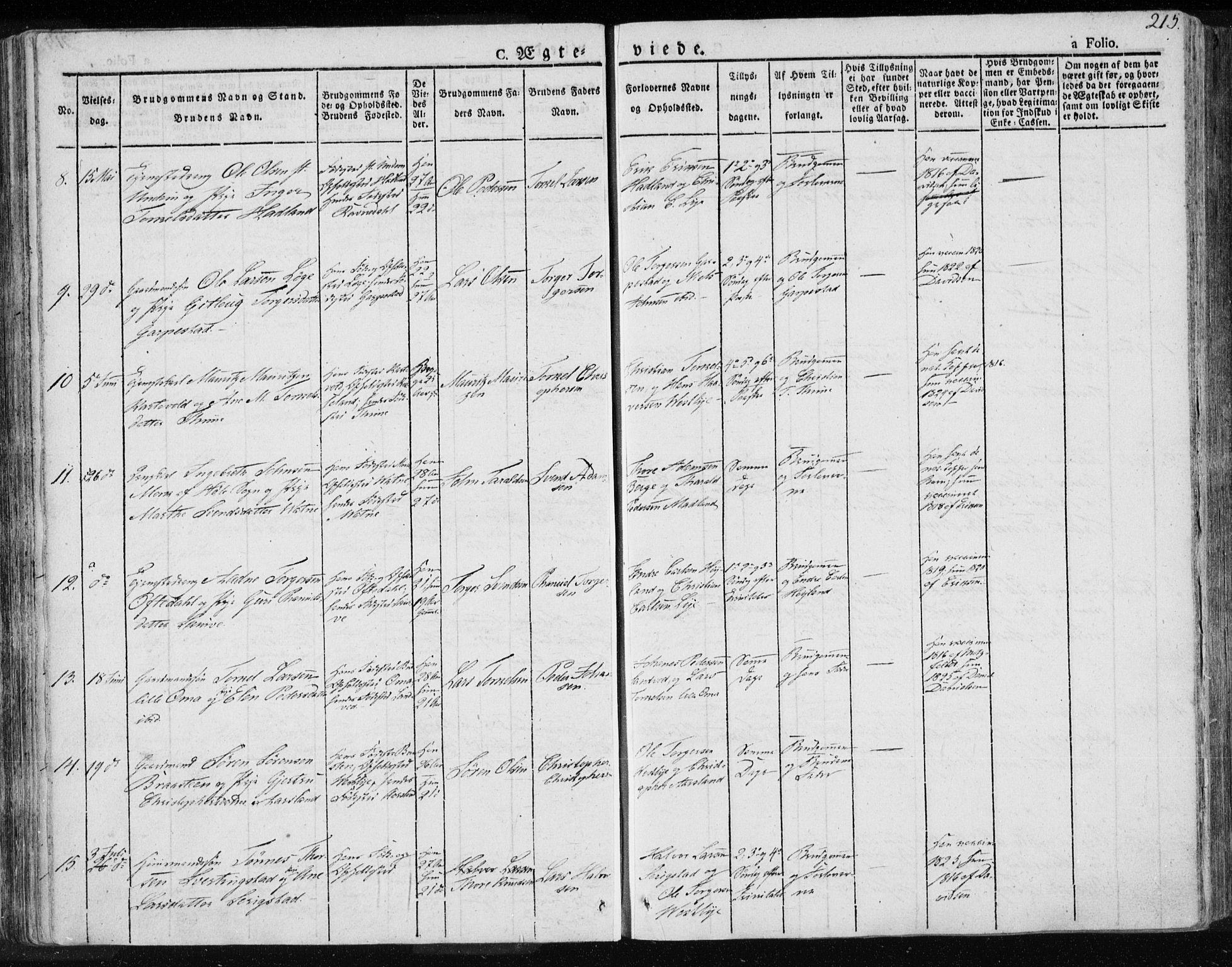 Lye sokneprestkontor, AV/SAST-A-101794/001/30BA/L0004: Parish register (official) no. A 4, 1826-1841, p. 215