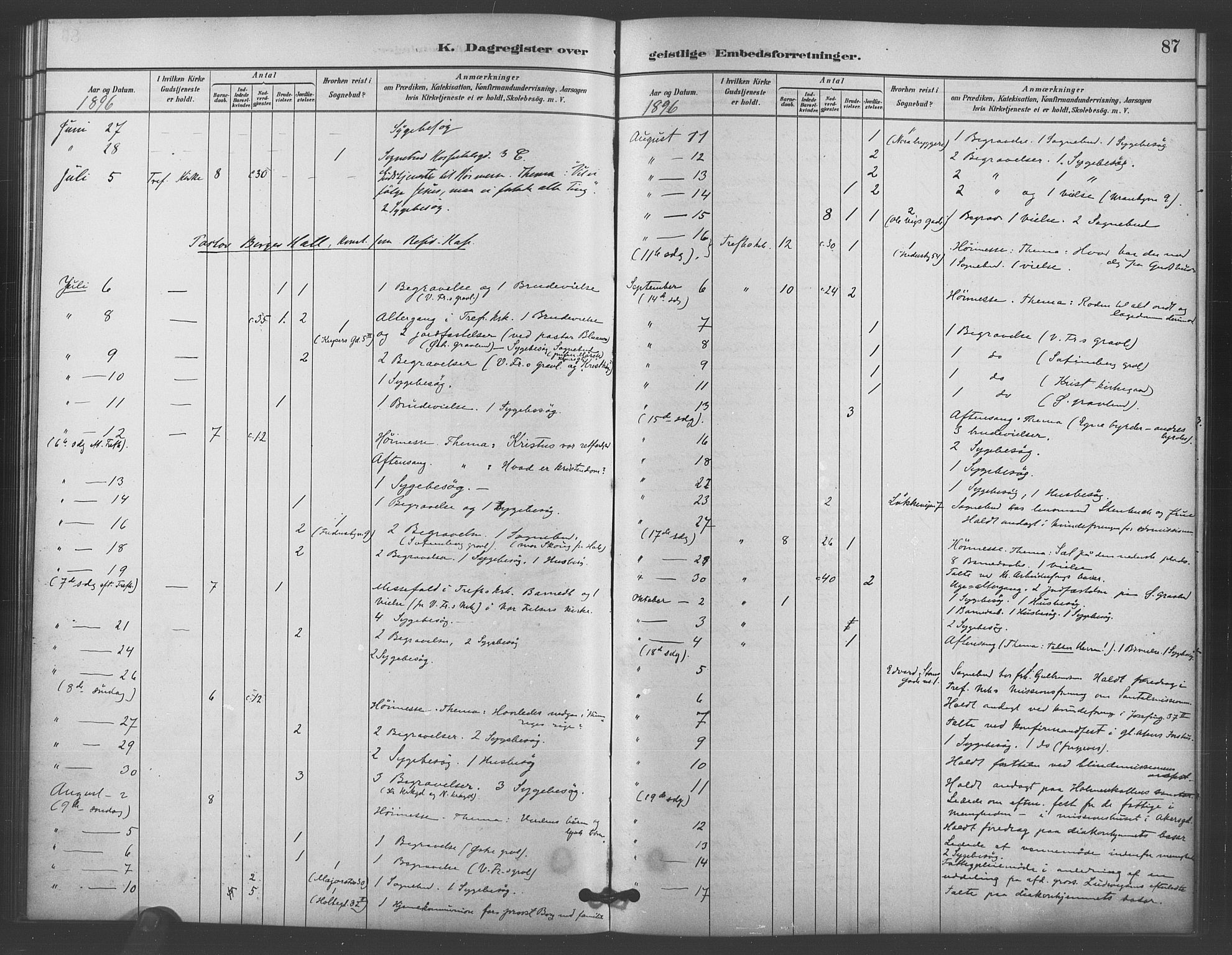 Trefoldighet prestekontor Kirkebøker, AV/SAO-A-10882/I/Ia/L0004: Diary records no. 4, 1882-1901, p. 87