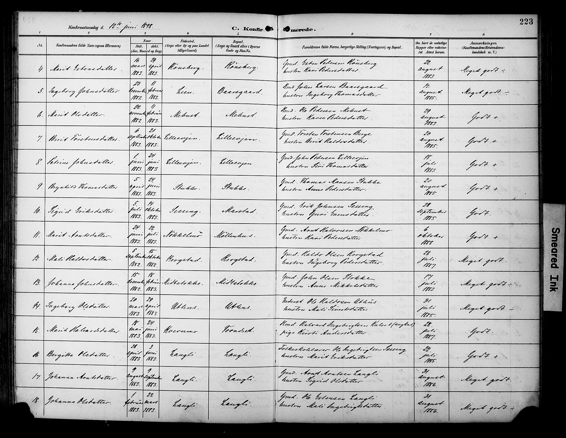 Ministerialprotokoller, klokkerbøker og fødselsregistre - Sør-Trøndelag, AV/SAT-A-1456/695/L1149: Parish register (official) no. 695A09, 1891-1902, p. 223