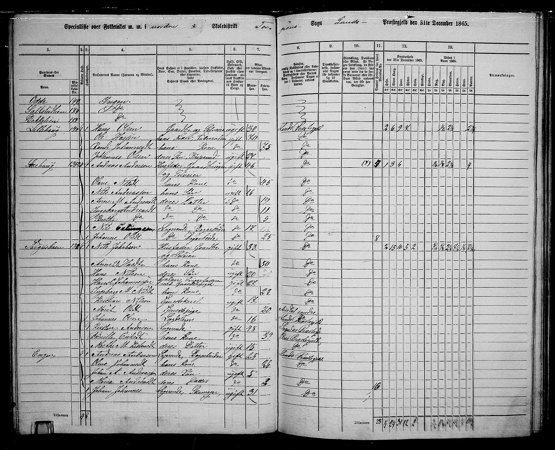 RA, 1865 census for Land, 1865, p. 140