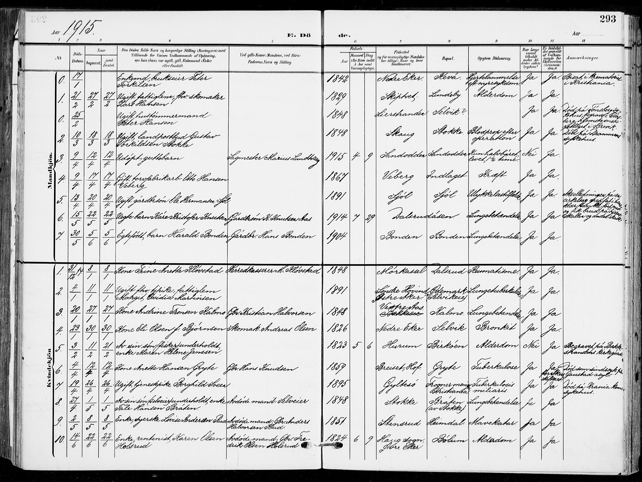 Sande Kirkebøker, SAKO/A-53/F/Fa/L0008: Parish register (official) no. 8, 1904-1921, p. 293