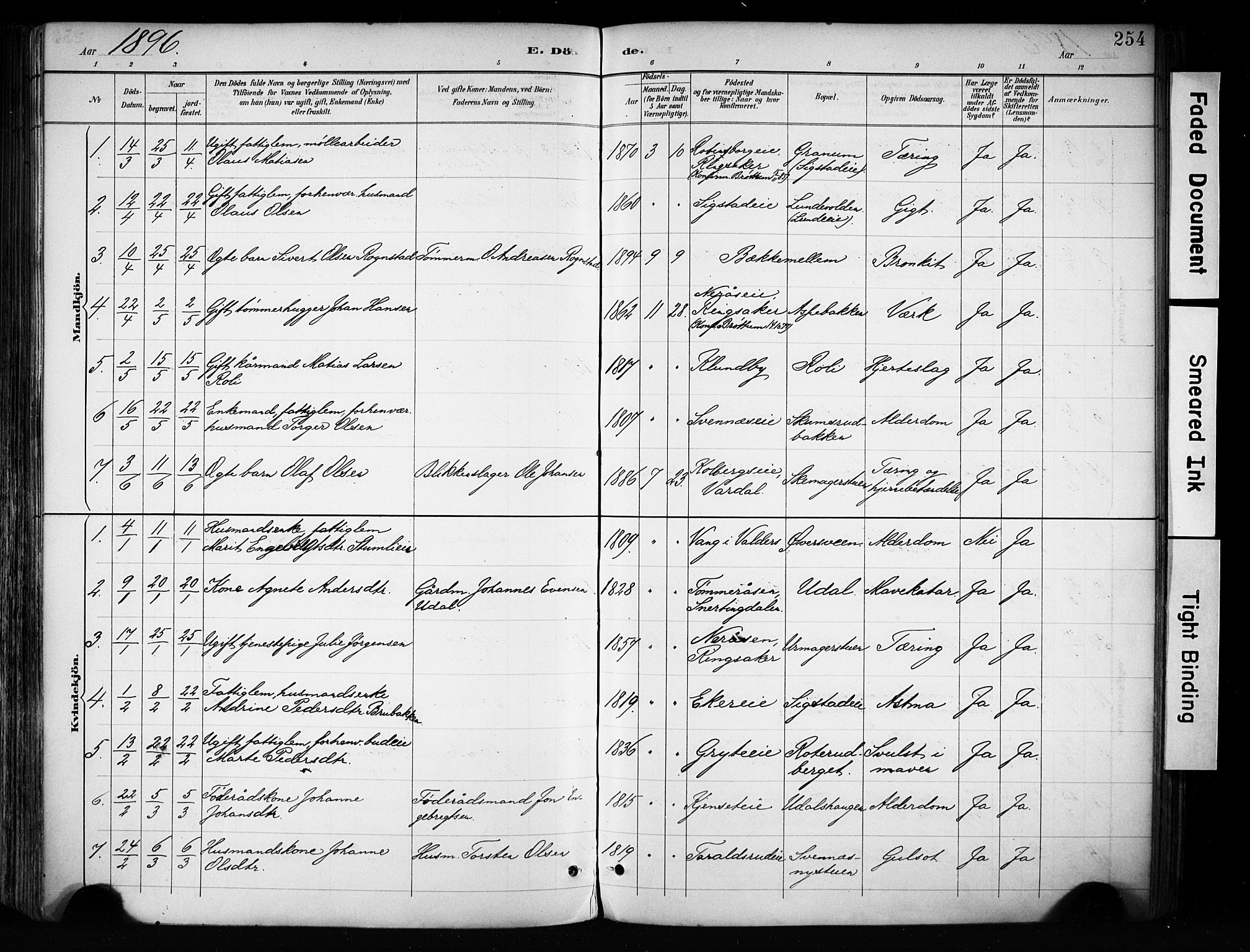 Biri prestekontor, SAH/PREST-096/H/Ha/Haa/L0009: Parish register (official) no. 9, 1887-1900, p. 254