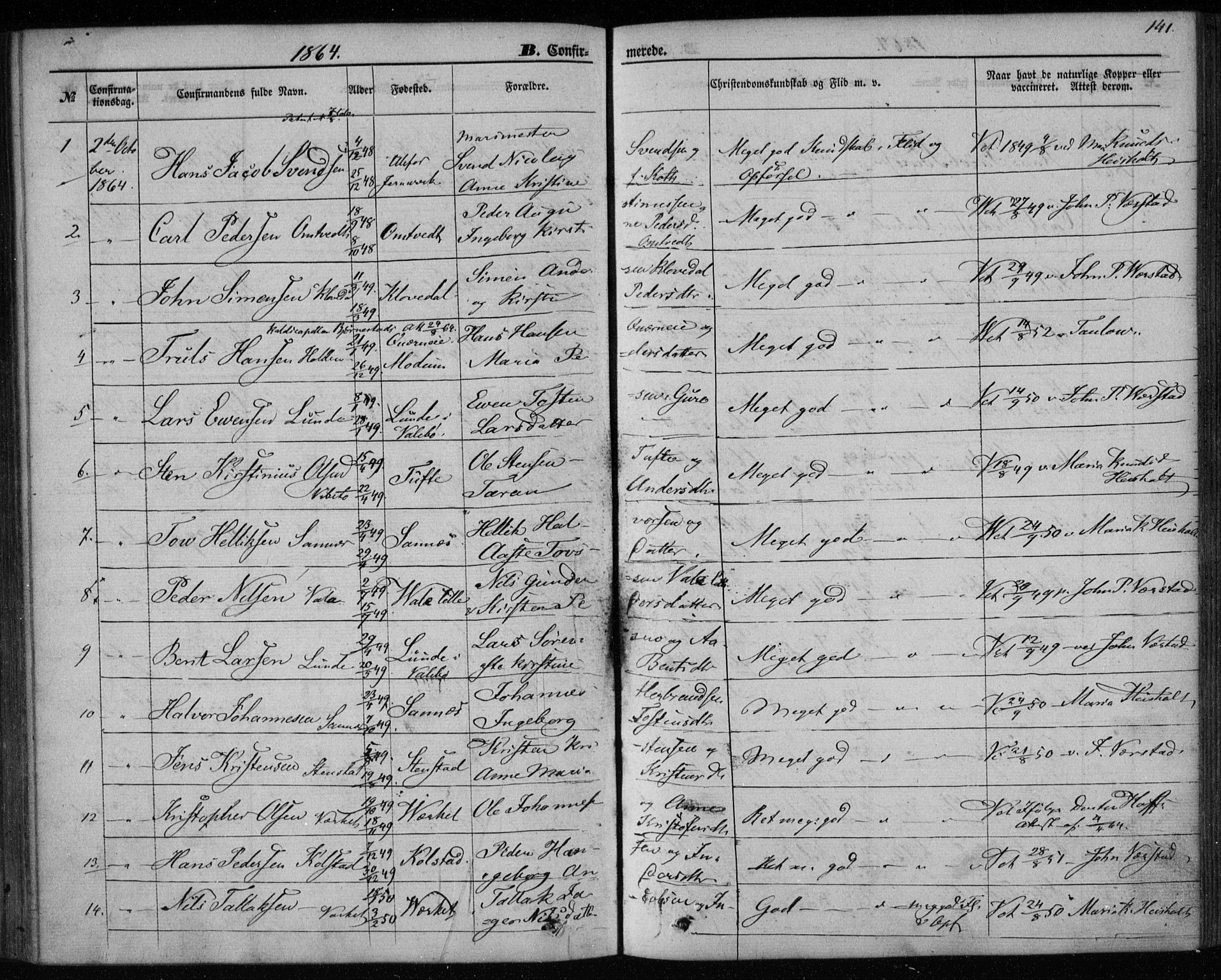 Holla kirkebøker, SAKO/A-272/F/Fa/L0006: Parish register (official) no. 6, 1861-1869, p. 141