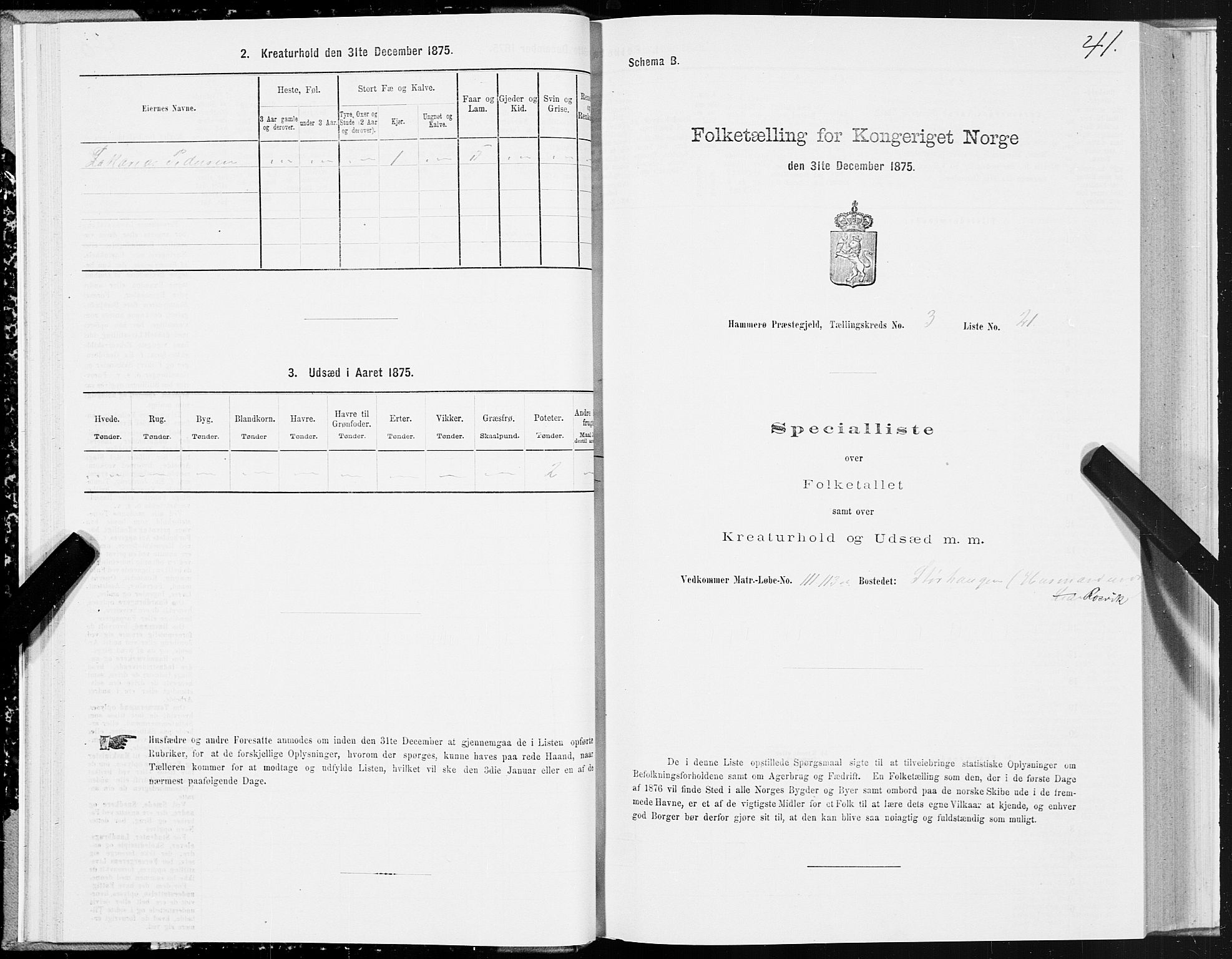 SAT, 1875 census for 1849P Hamarøy, 1875, p. 2041