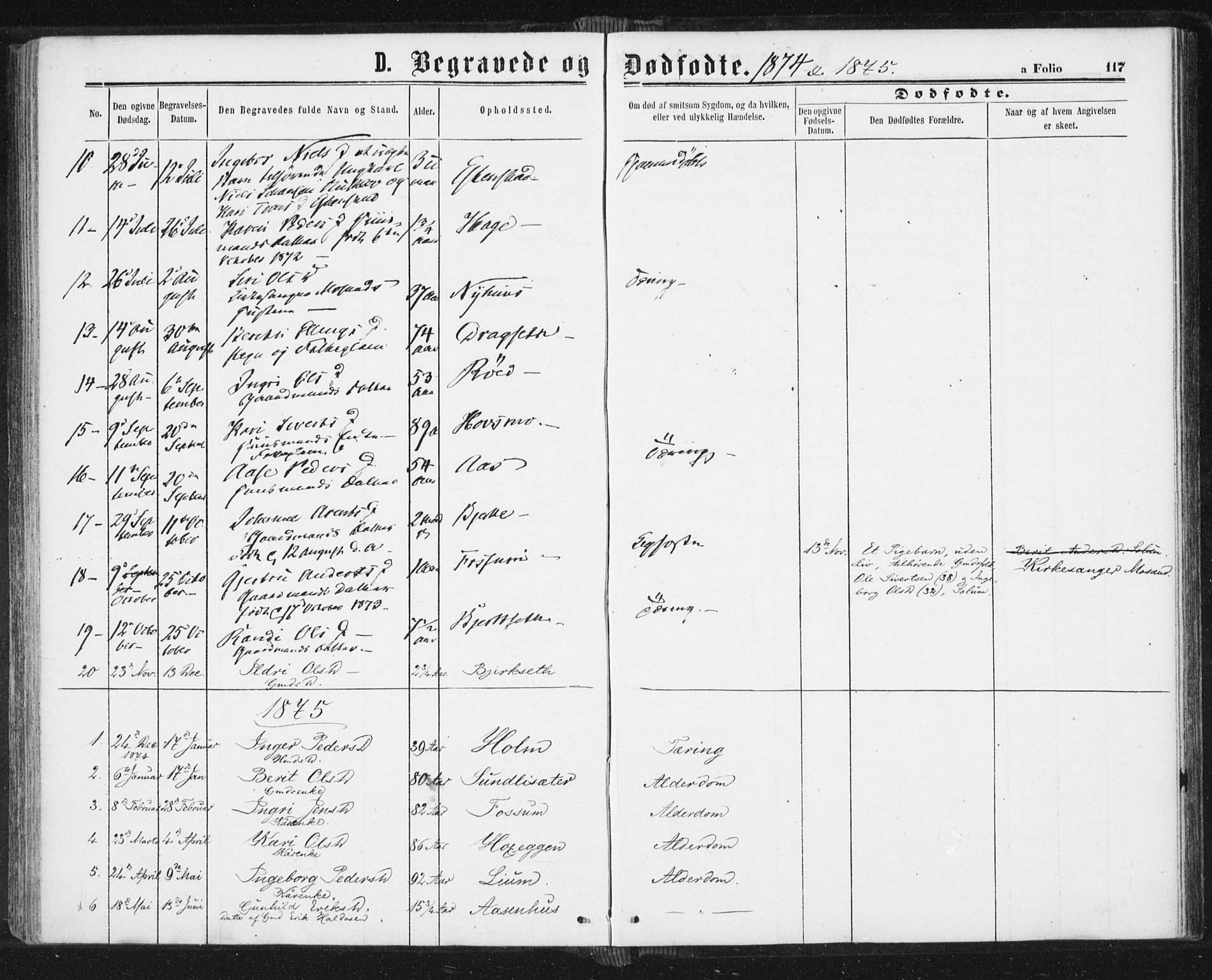 Ministerialprotokoller, klokkerbøker og fødselsregistre - Sør-Trøndelag, SAT/A-1456/689/L1039: Parish register (official) no. 689A04, 1865-1878, p. 117