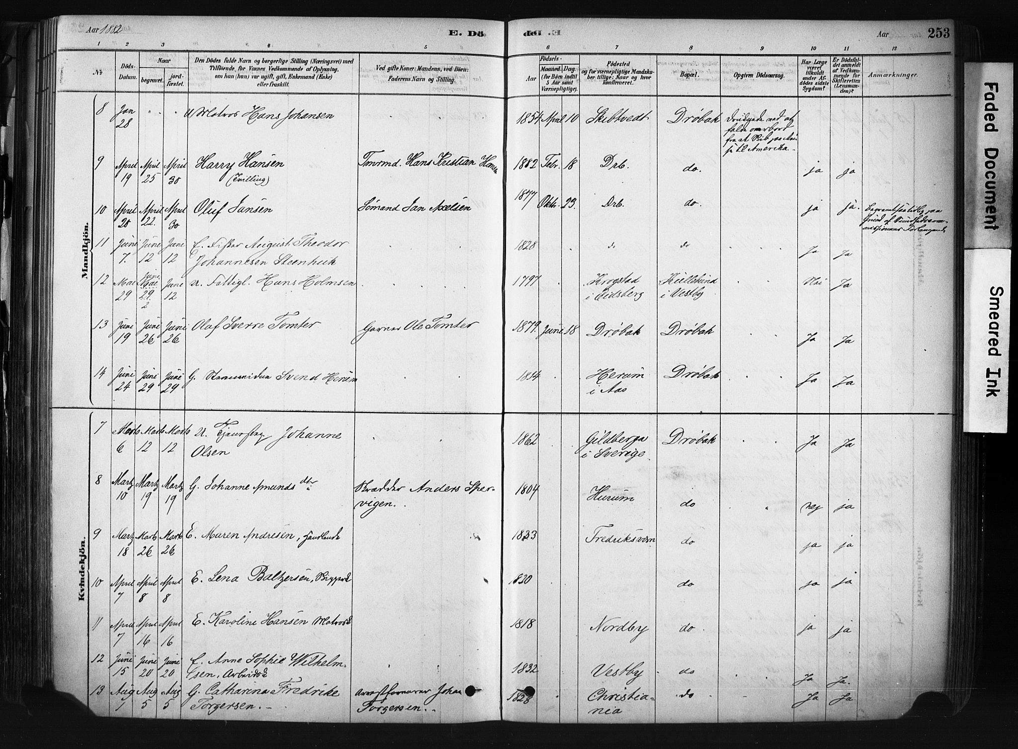 Drøbak prestekontor Kirkebøker, AV/SAO-A-10142a/F/Fb/L0001: Parish register (official) no. II 1, 1878-1891, p. 253