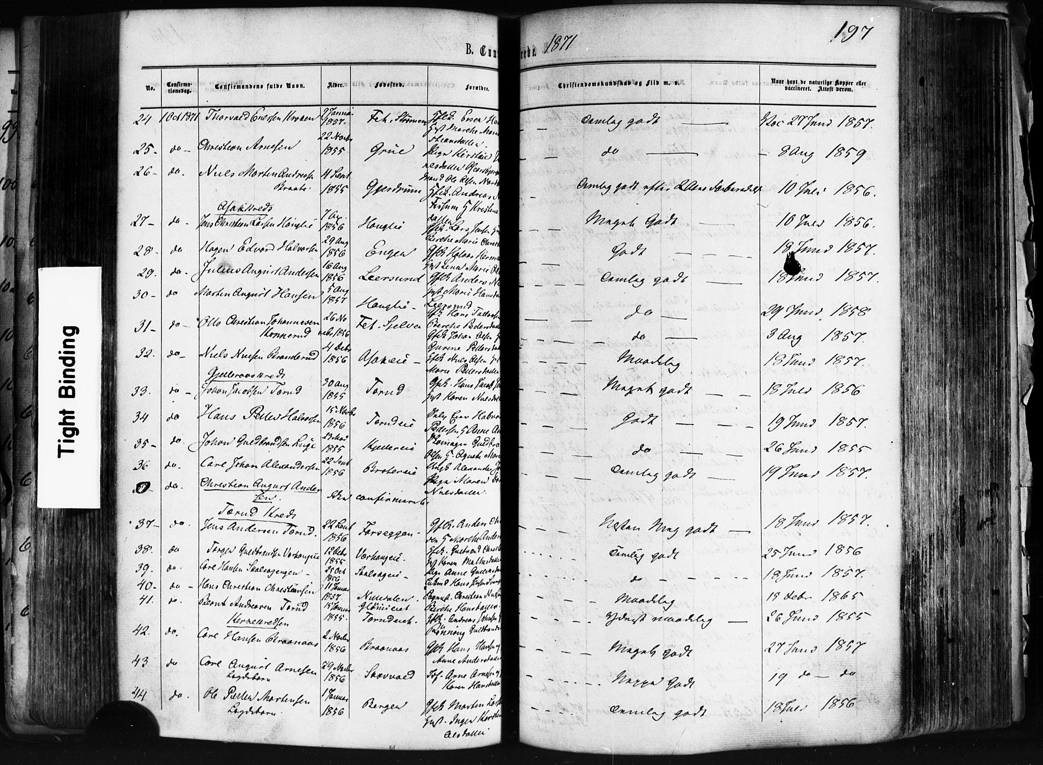 Skedsmo prestekontor Kirkebøker, SAO/A-10033a/F/Fa/L0011: Parish register (official) no. I 11, 1866-1876, p. 197