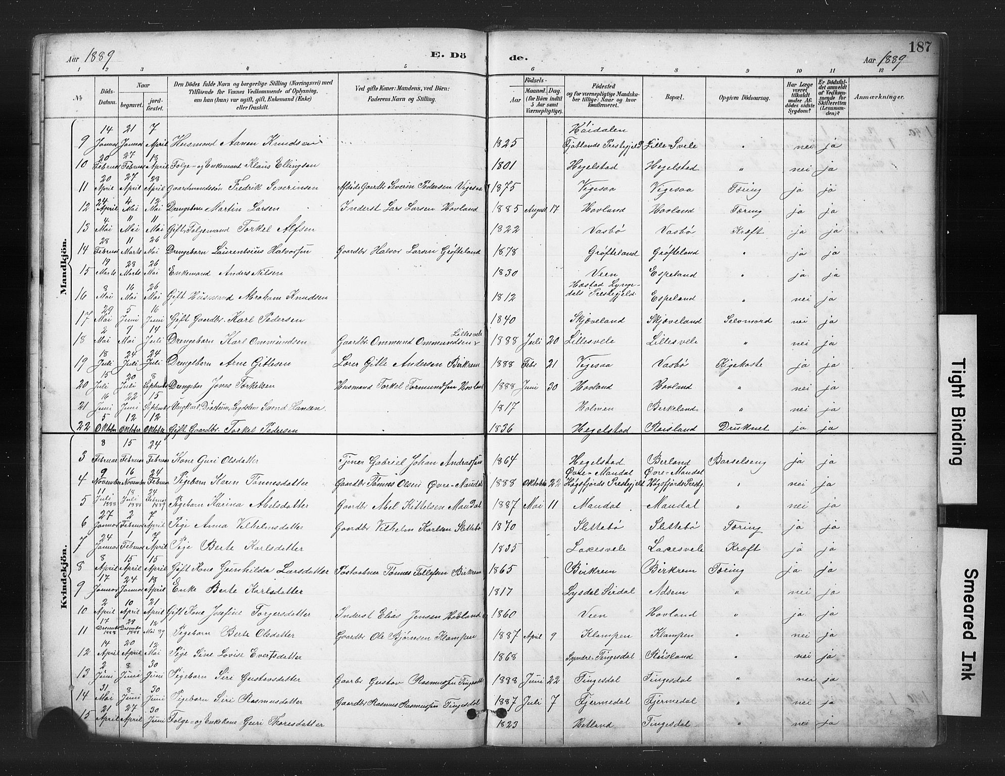 Helleland sokneprestkontor, SAST/A-101810: Parish register (copy) no. B 5, 1887-1908, p. 187