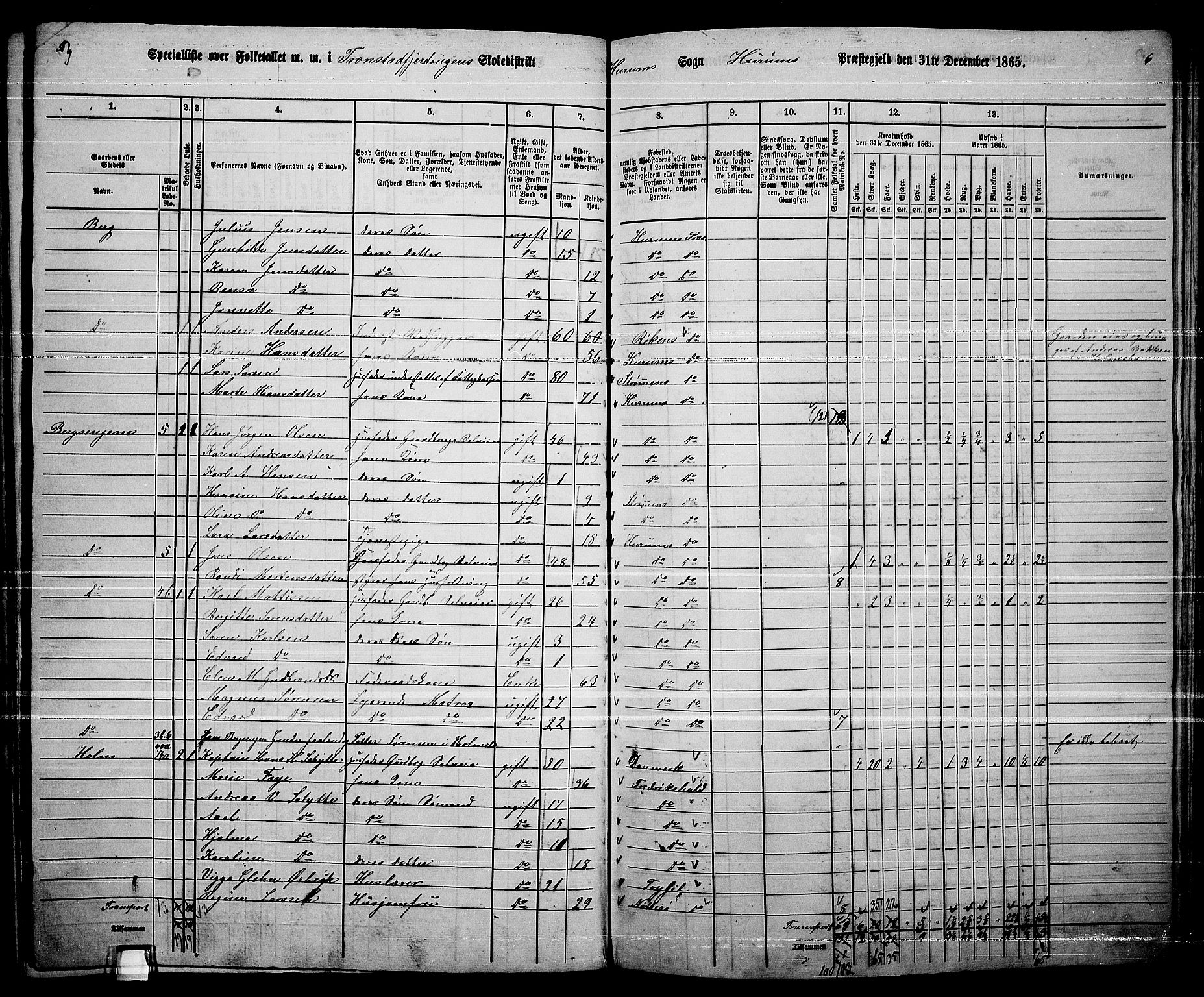 RA, 1865 census for Hurum, 1865, p. 31