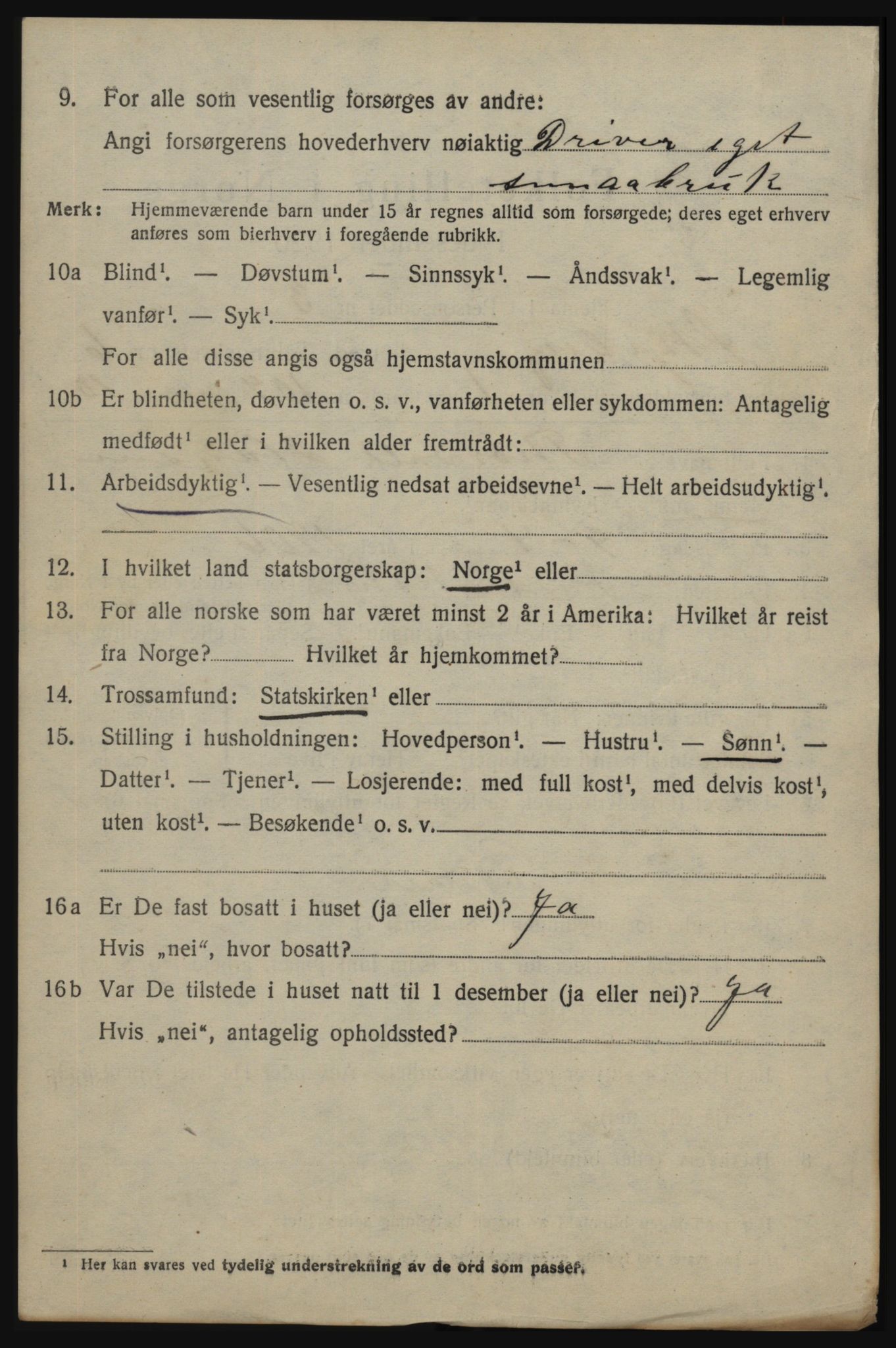 SAO, 1920 census for Skjeberg, 1920, p. 6604