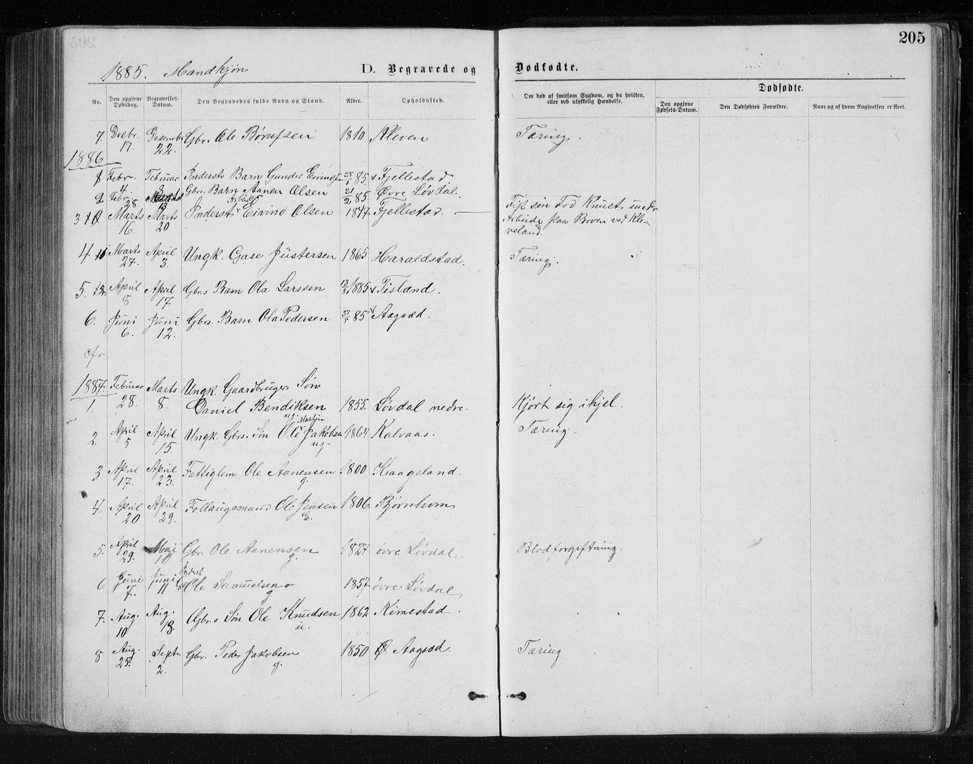 Holum sokneprestkontor, AV/SAK-1111-0022/F/Fb/Fbb/L0003: Parish register (copy) no. B 3, 1875-1898, p. 205