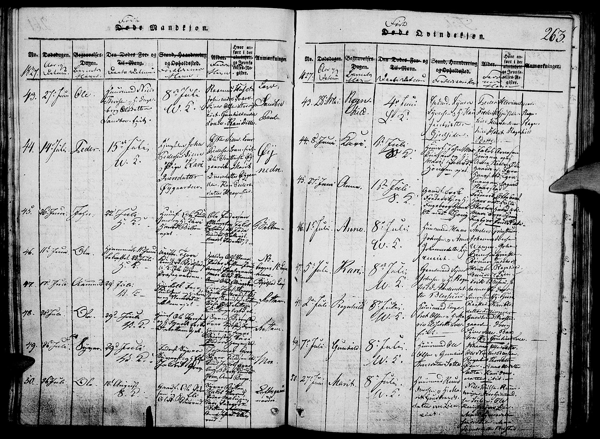 Vågå prestekontor, SAH/PREST-076/H/Ha/Hab/L0001: Parish register (copy) no. 1, 1815-1827, p. 262-263