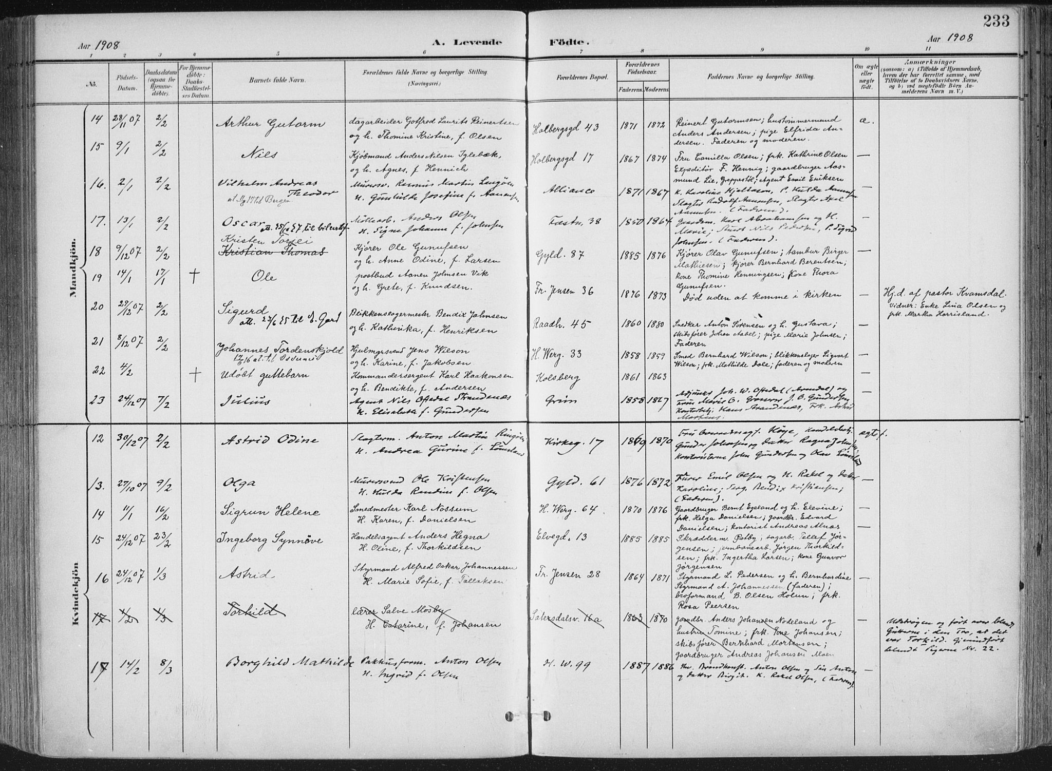 Kristiansand domprosti, SAK/1112-0006/F/Fa/L0021: Parish register (official) no. A 20, 1898-1908, p. 233
