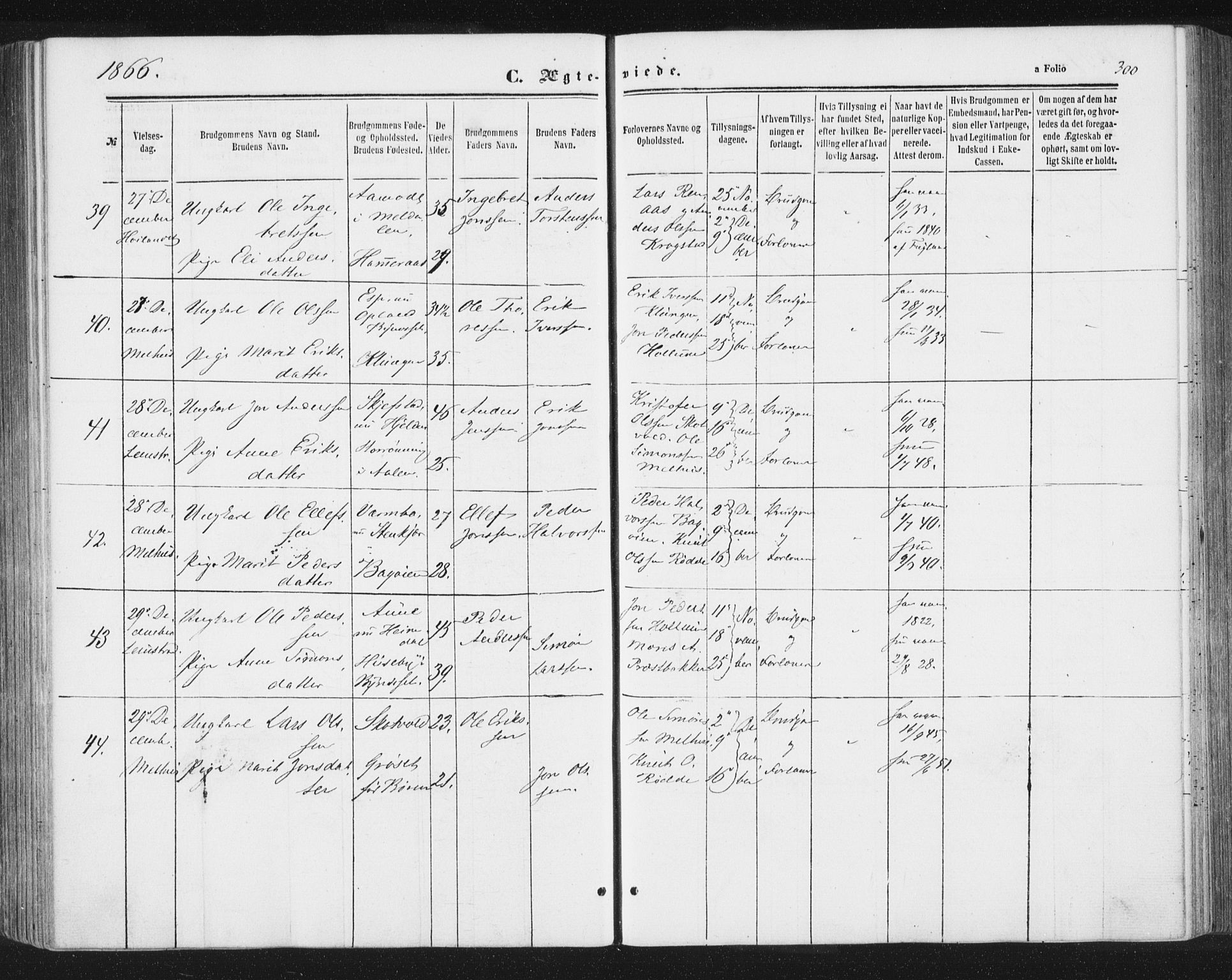Ministerialprotokoller, klokkerbøker og fødselsregistre - Sør-Trøndelag, SAT/A-1456/691/L1077: Parish register (official) no. 691A09, 1862-1873, p. 300