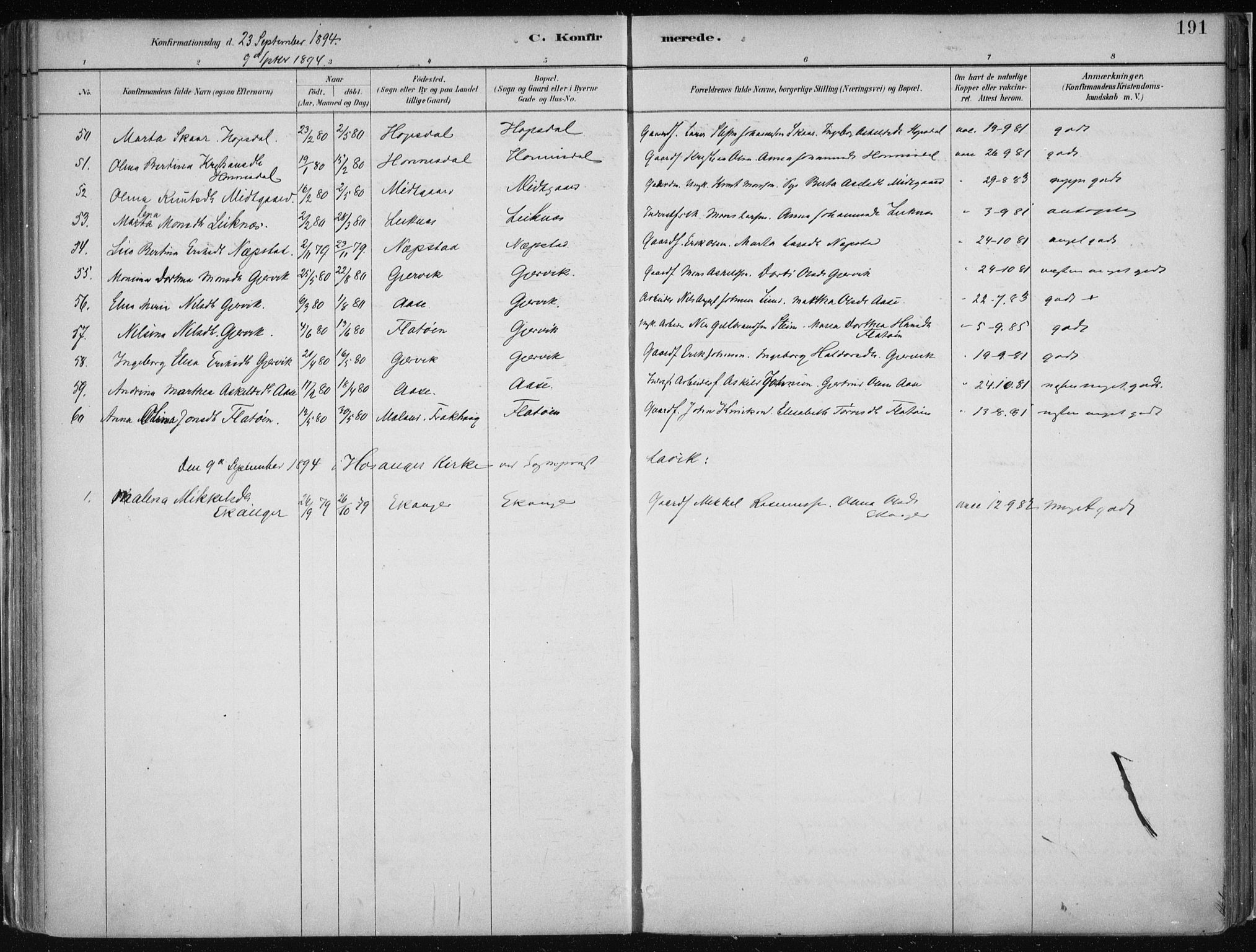 Hamre sokneprestembete, AV/SAB-A-75501/H/Ha/Haa/Haab/L0001: Parish register (official) no. B  1, 1882-1905, p. 191