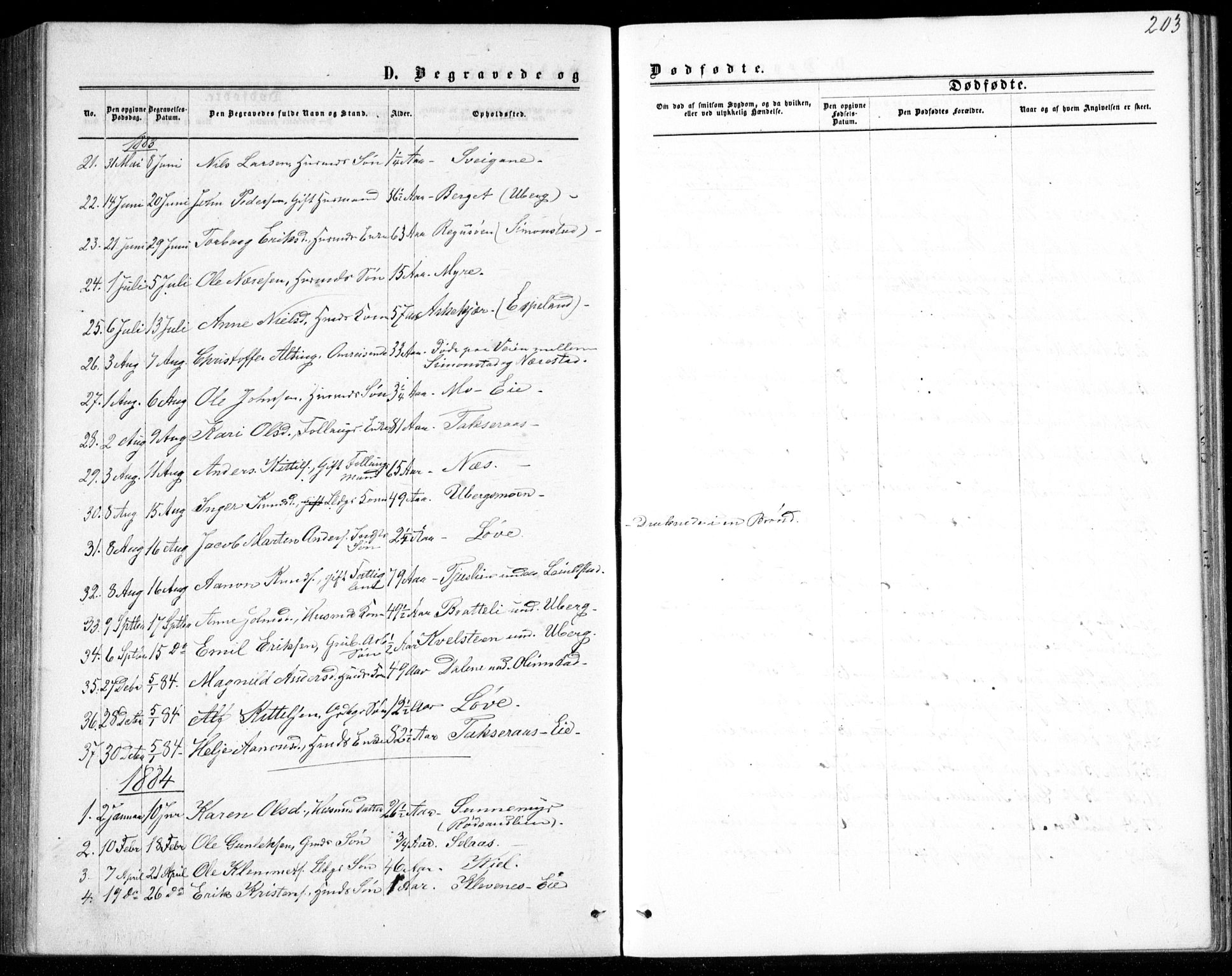 Gjerstad sokneprestkontor, AV/SAK-1111-0014/F/Fb/Fbb/L0003: Parish register (copy) no. B 3, 1862-1889, p. 203