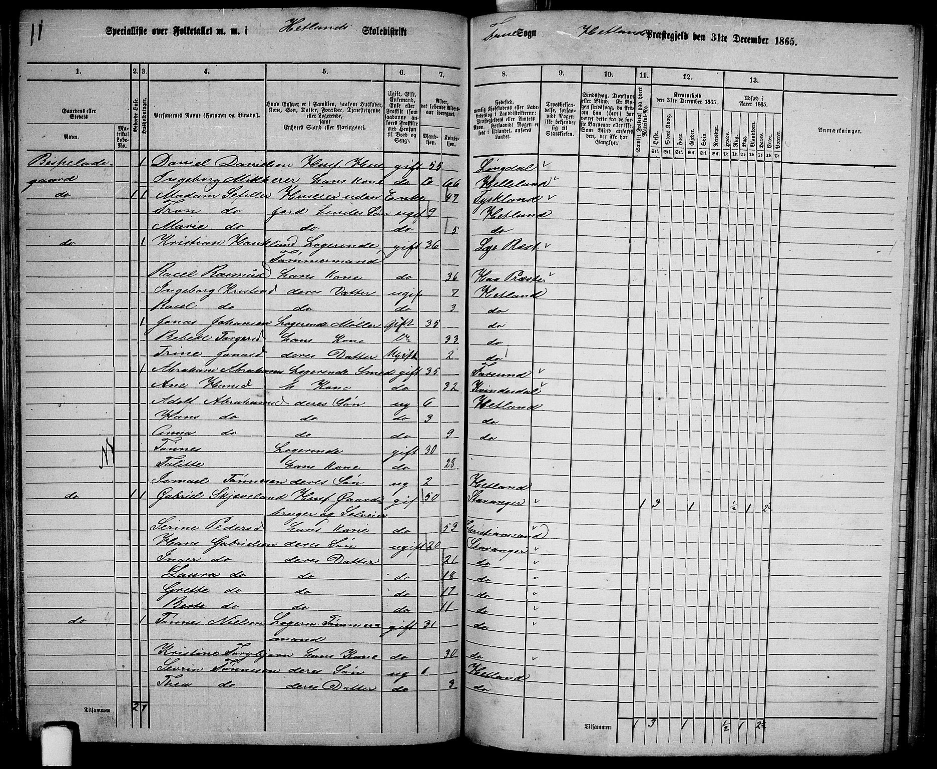 RA, 1865 census for Hetland, 1865, p. 125