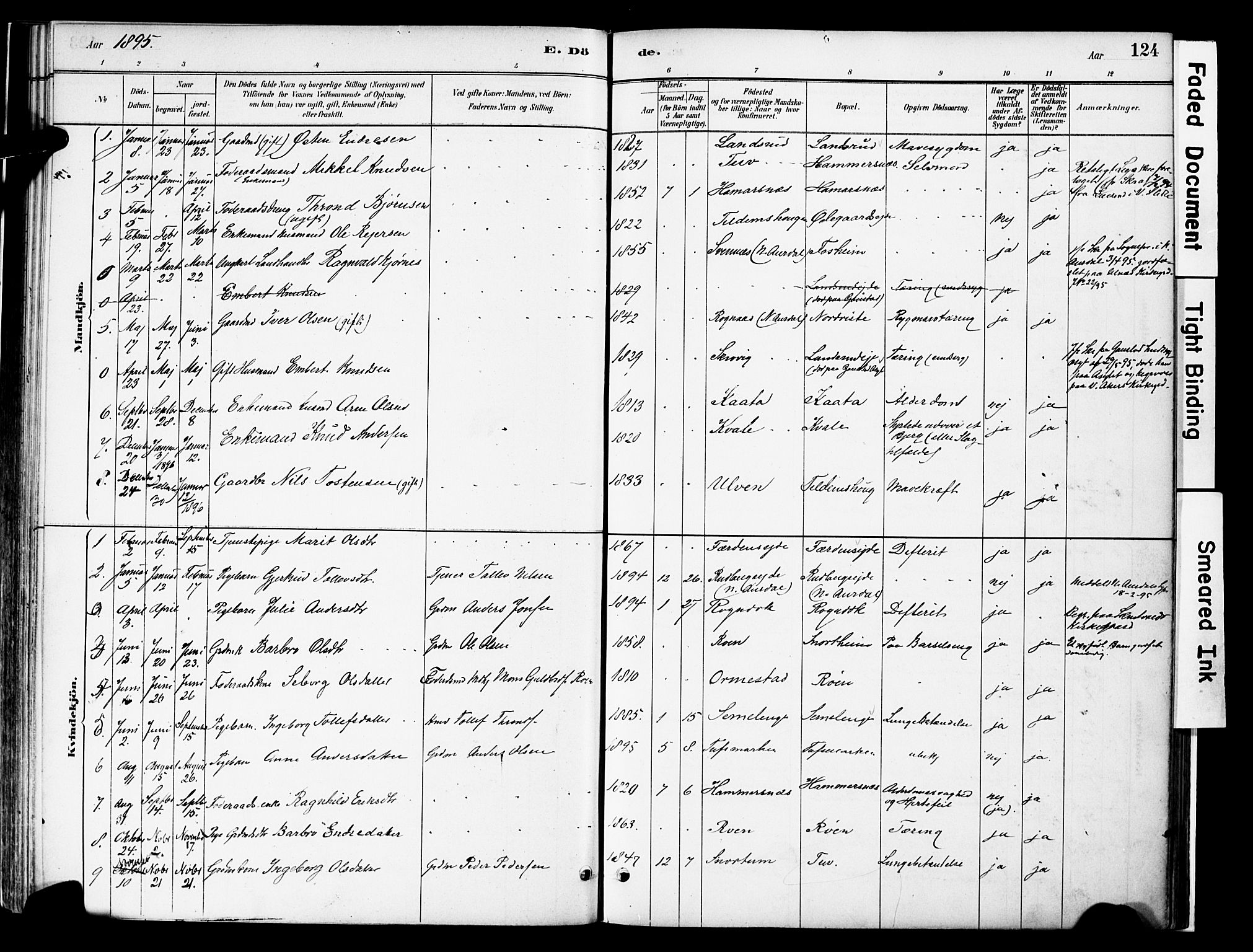 Vestre Slidre prestekontor, SAH/PREST-136/H/Ha/Haa/L0006: Parish register (official) no. 6, 1881-1912, p. 124