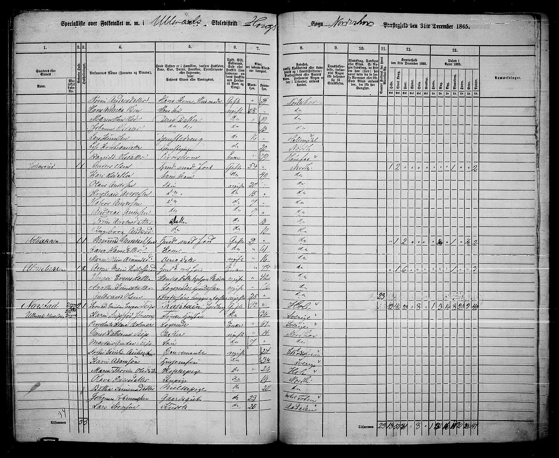 RA, 1865 census for Norderhov/Norderhov, Haug og Lunder, 1865, p. 274