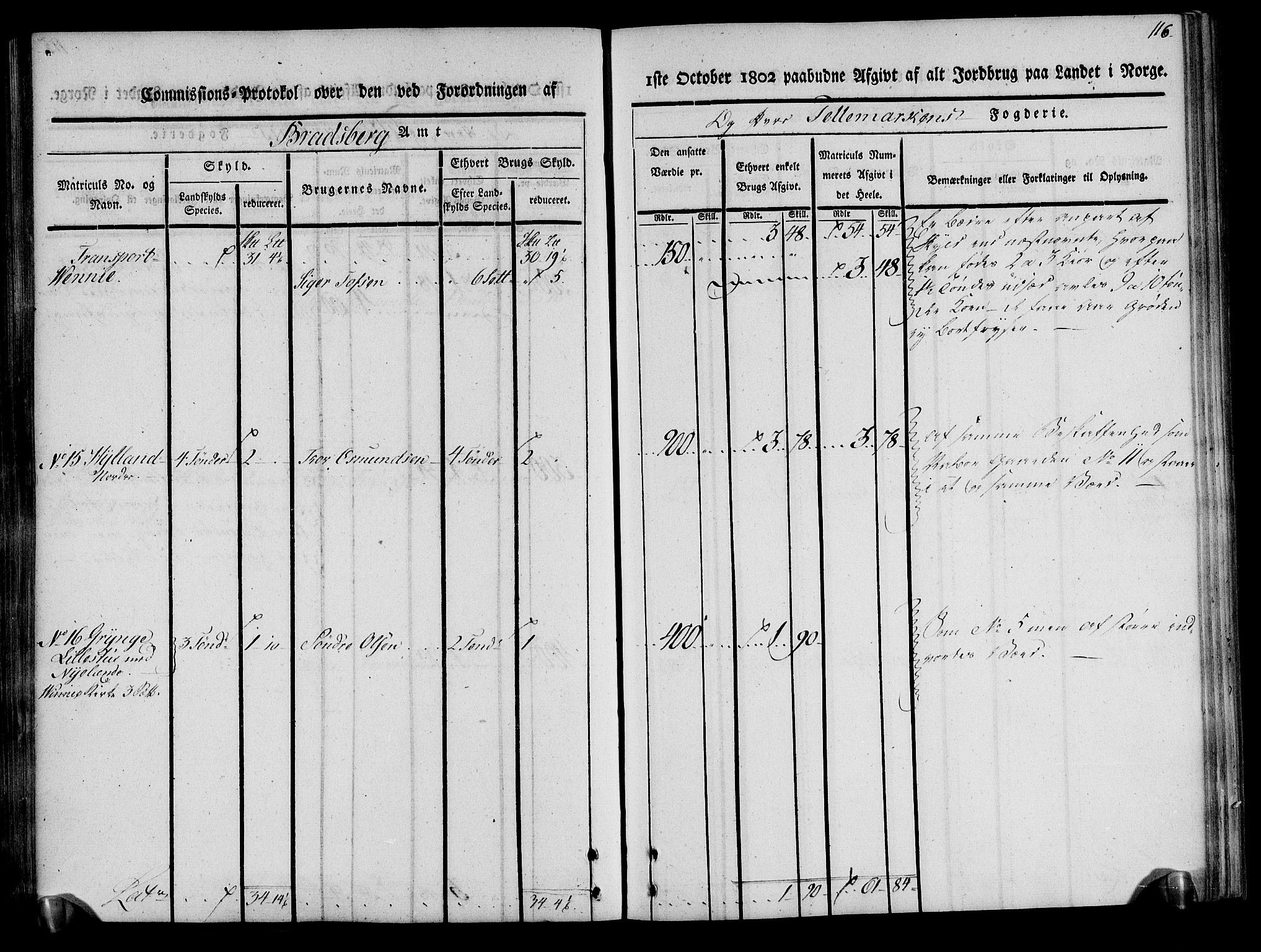 Rentekammeret inntil 1814, Realistisk ordnet avdeling, AV/RA-EA-4070/N/Ne/Nea/L0075: Øvre Telemarken fogderi. Kommisjonsprotokoll for fogderiets vestre del - Kviteseid, Vinje, Moland [):Fyresdal] og Lårdal prestegjeld., 1803, p. 117