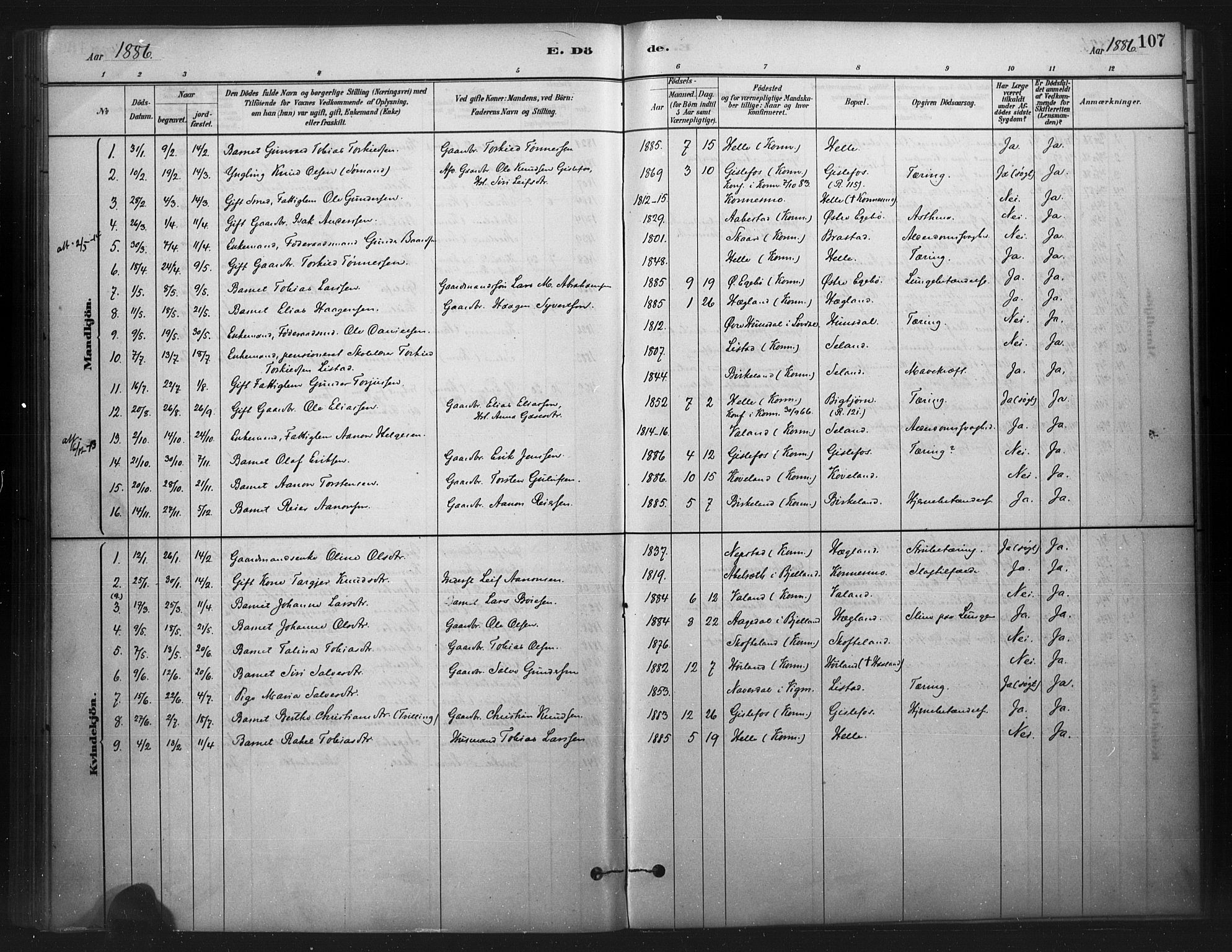 Nord-Audnedal sokneprestkontor, SAK/1111-0032/F/Fa/Faa/L0003: Parish register (official) no. A 3, 1882-1900, p. 107