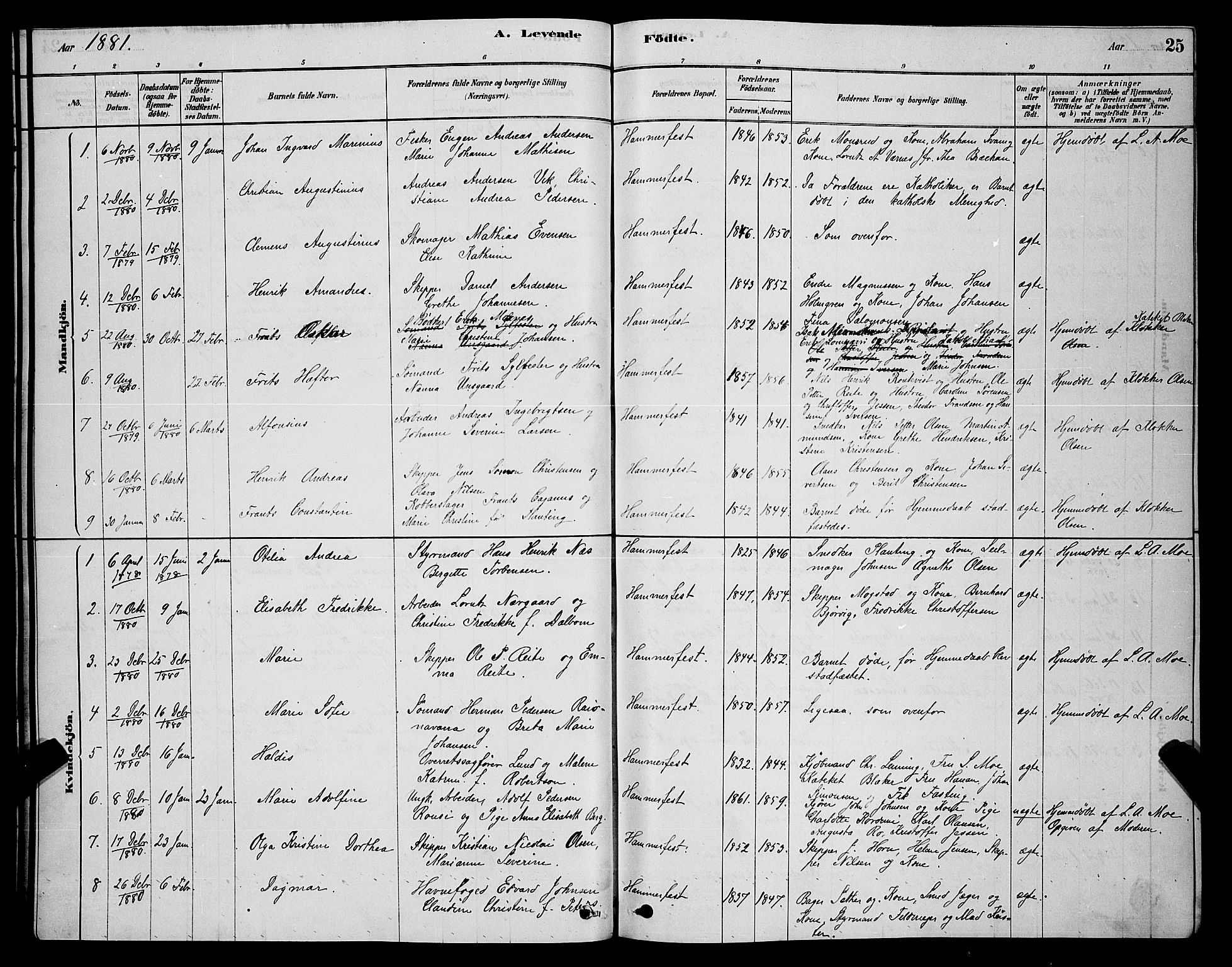 Hammerfest sokneprestkontor, AV/SATØ-S-1347/H/Hb/L0006.klokk: Parish register (copy) no. 6, 1876-1884, p. 25