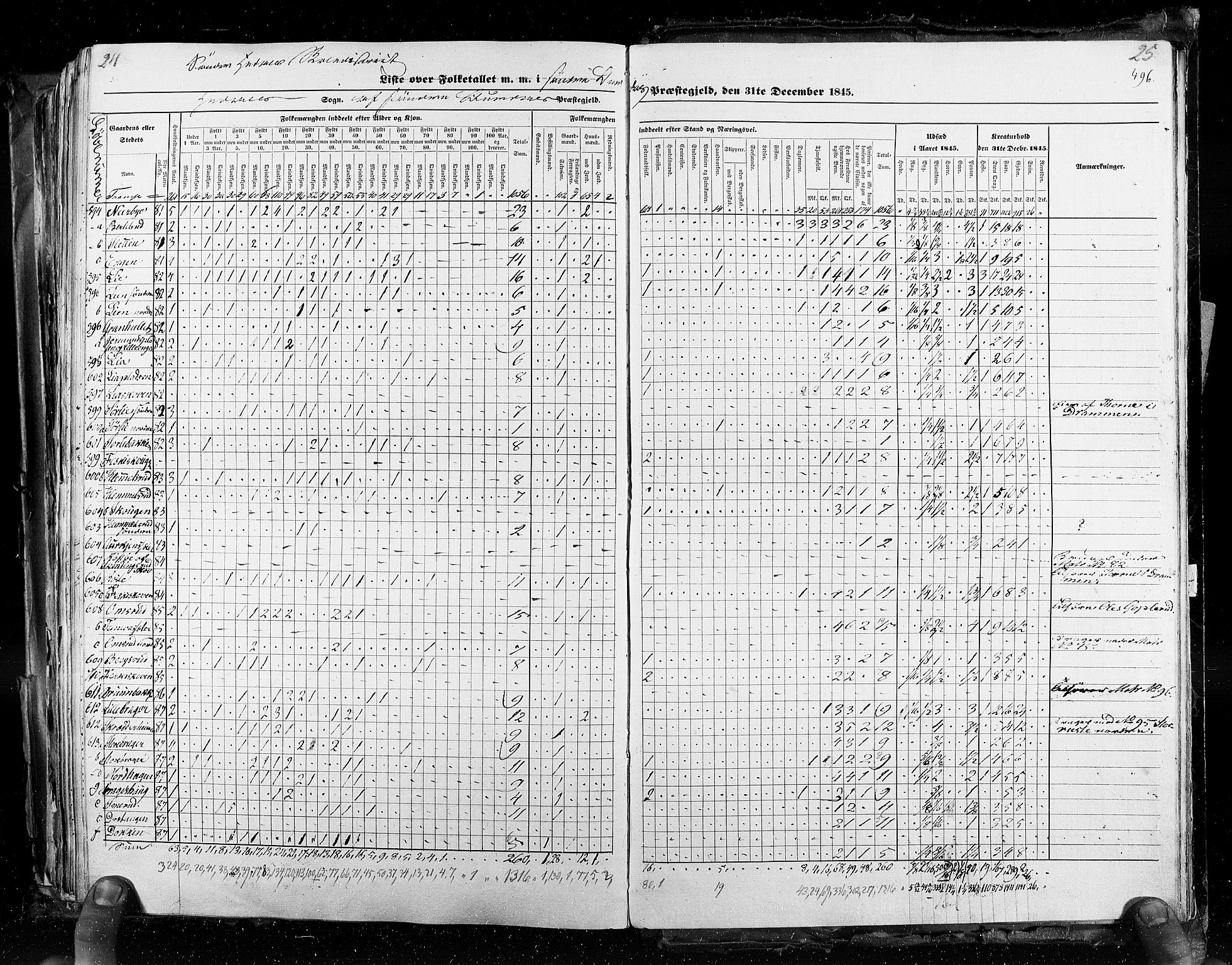 RA, Census 1845, vol. 3: Hedemarken amt og Kristians amt, 1845, p. 496