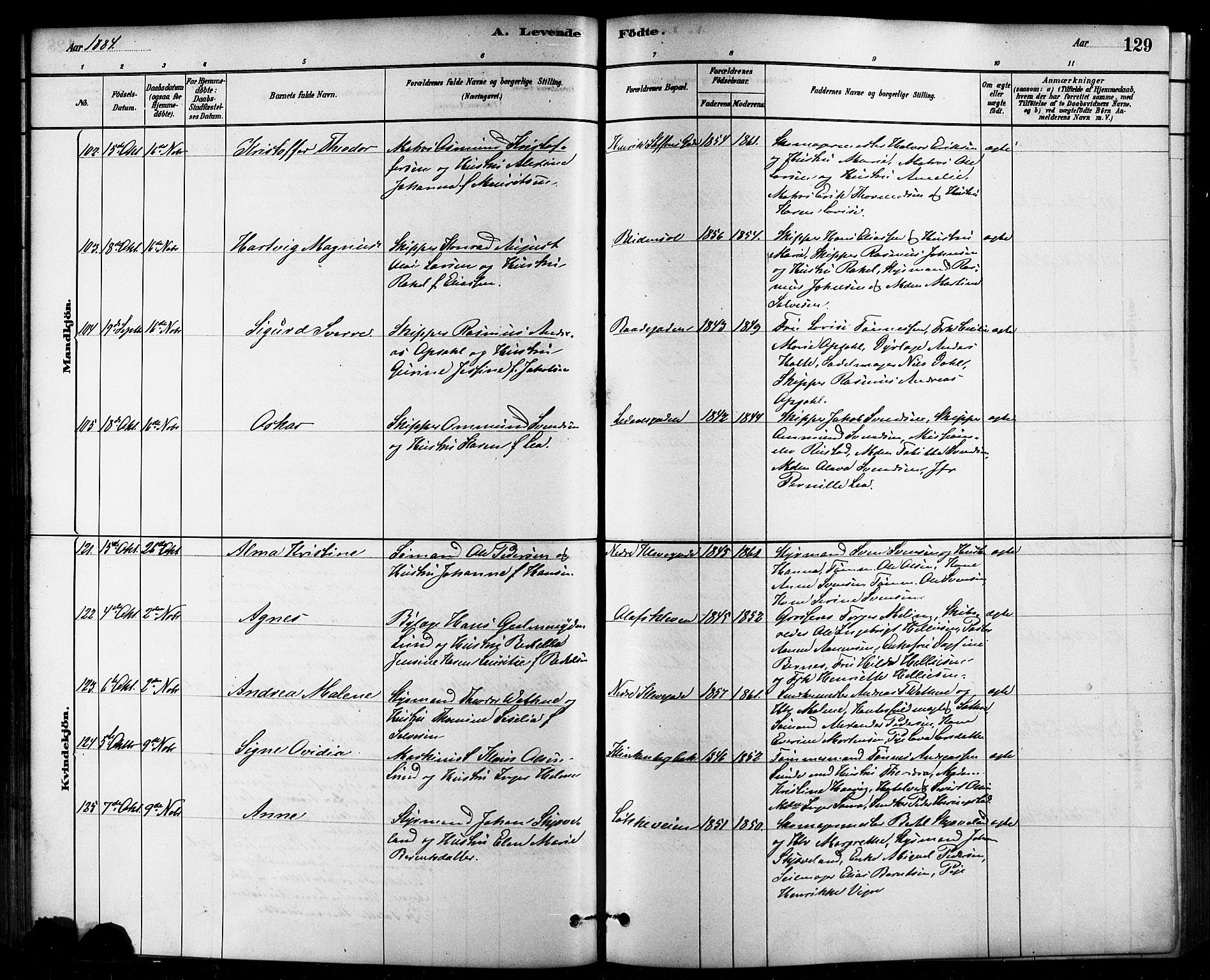 Domkirken sokneprestkontor, SAST/A-101812/001/30/30BB/L0015: Parish register (copy) no. B 15, 1880-1891, p. 129