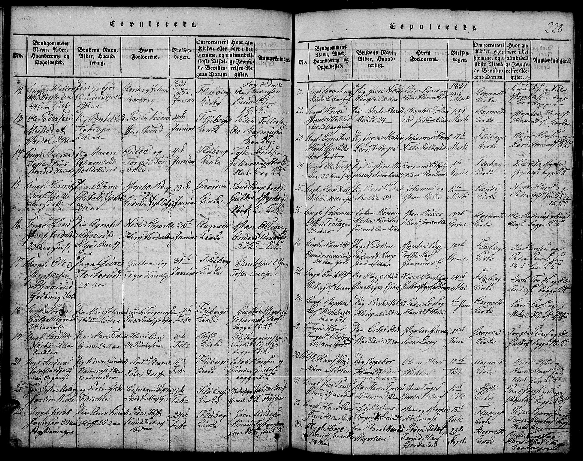Land prestekontor, SAH/PREST-120/H/Ha/Hab/L0001: Parish register (copy) no. 1, 1814-1833, p. 228