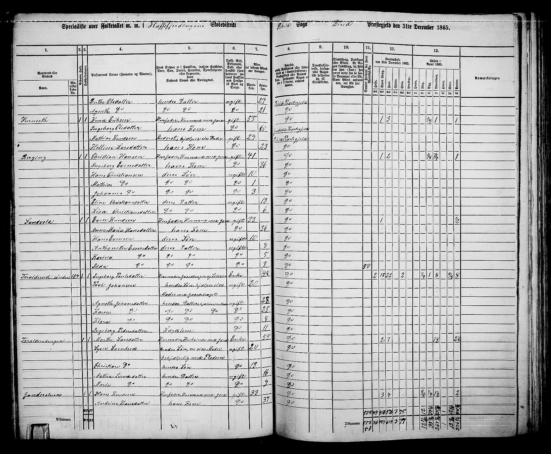 RA, 1865 census for Biri, 1865, p. 107