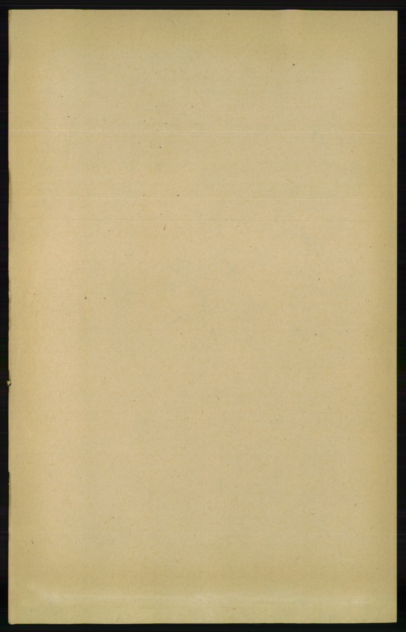RA, 1891 census for 0922 Hisøy, 1891, p. 121