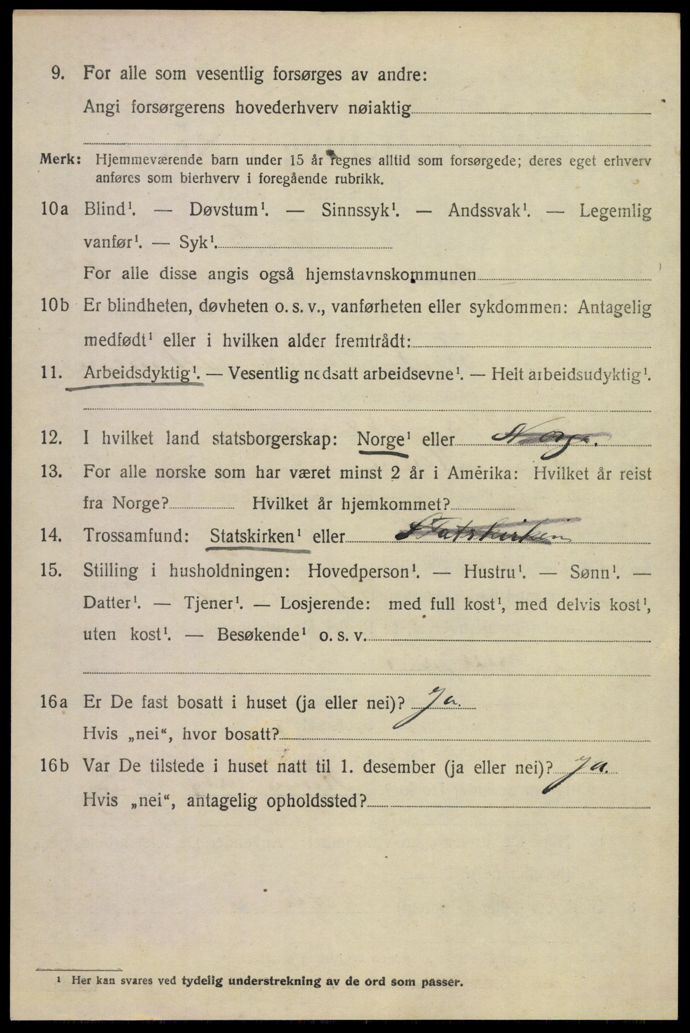 SAKO, 1920 census for Borre, 1920, p. 1417