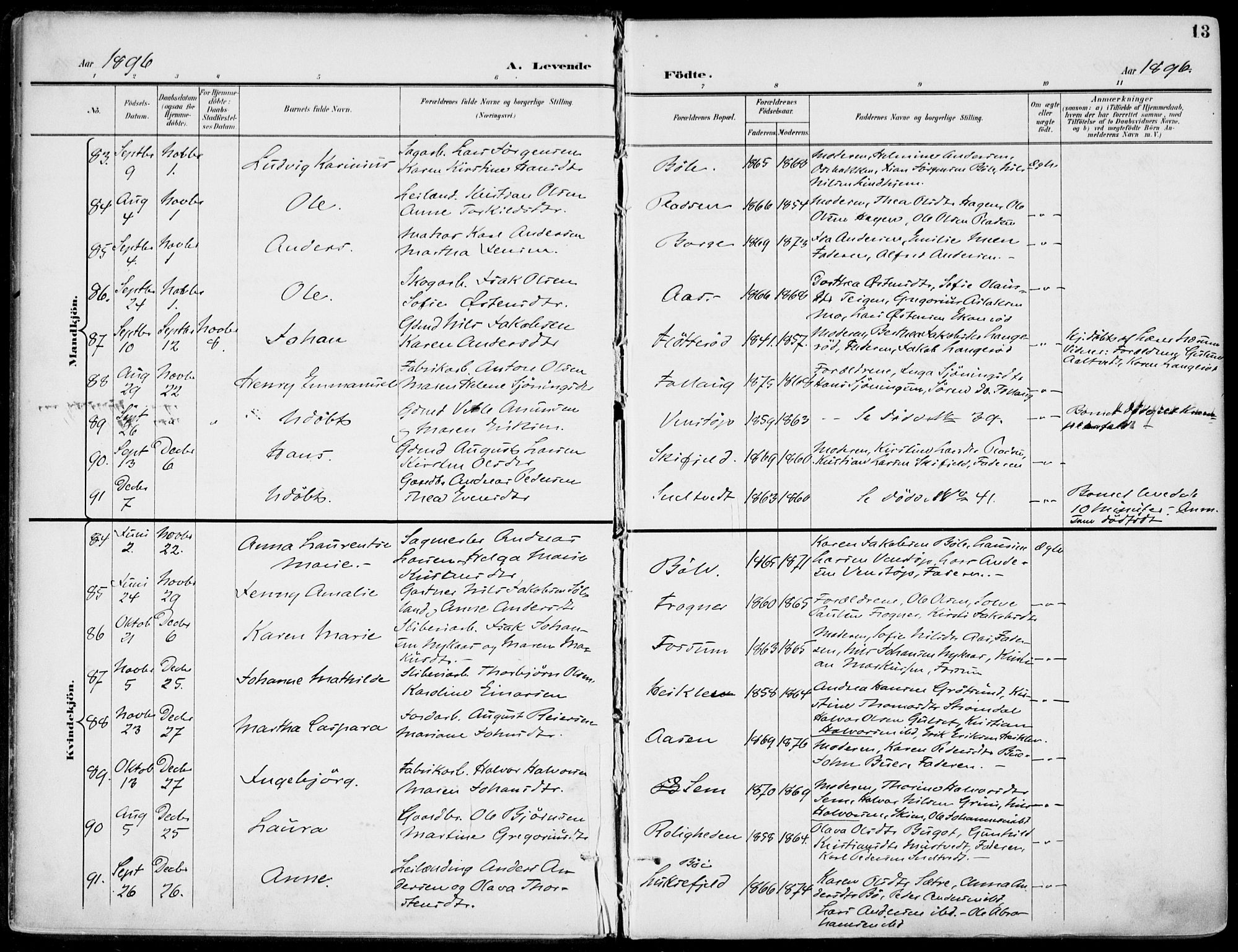 Gjerpen kirkebøker, SAKO/A-265/F/Fa/L0011: Parish register (official) no. I 11, 1896-1904, p. 13