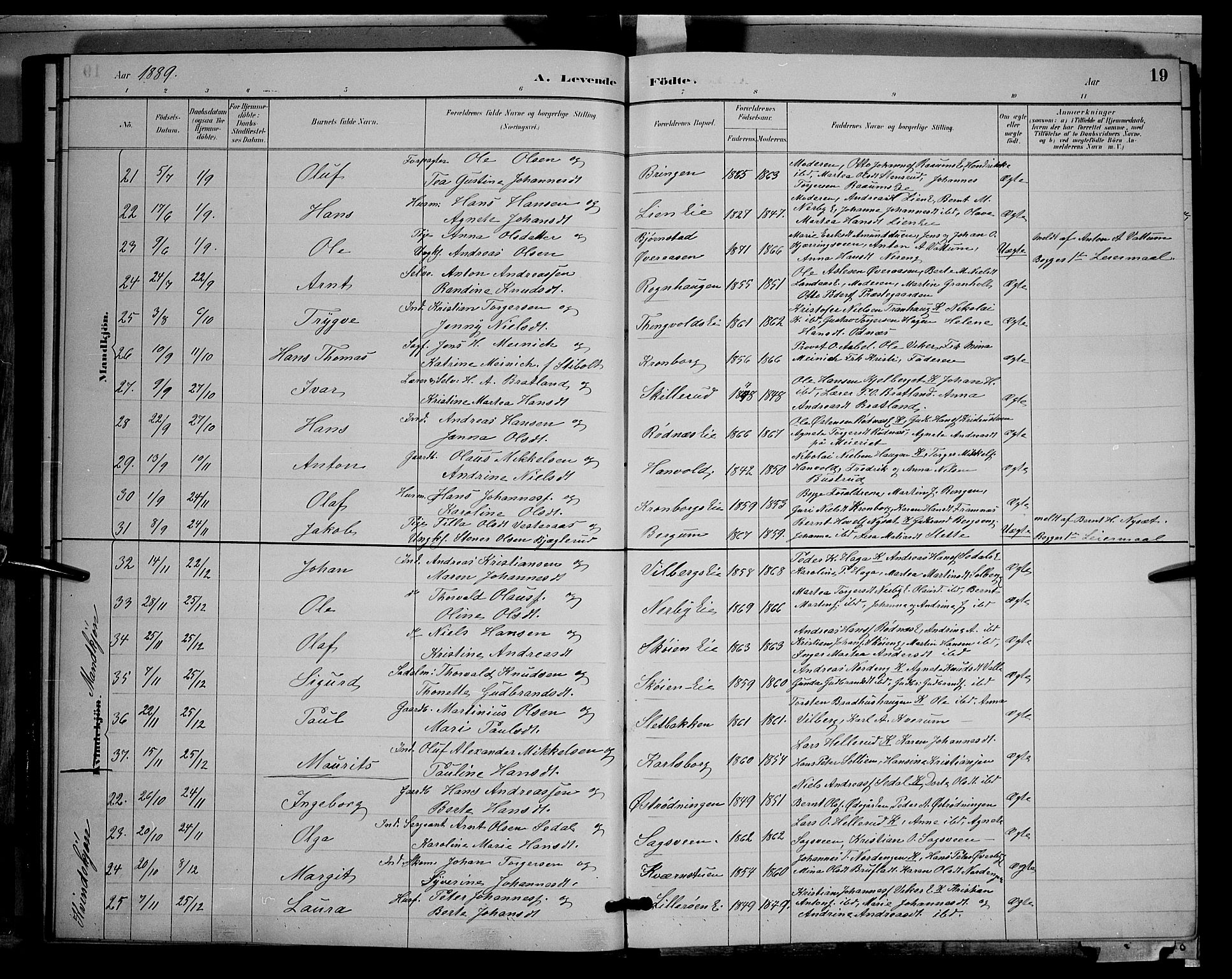 Søndre Land prestekontor, AV/SAH-PREST-122/L/L0003: Parish register (copy) no. 3, 1884-1902, p. 19