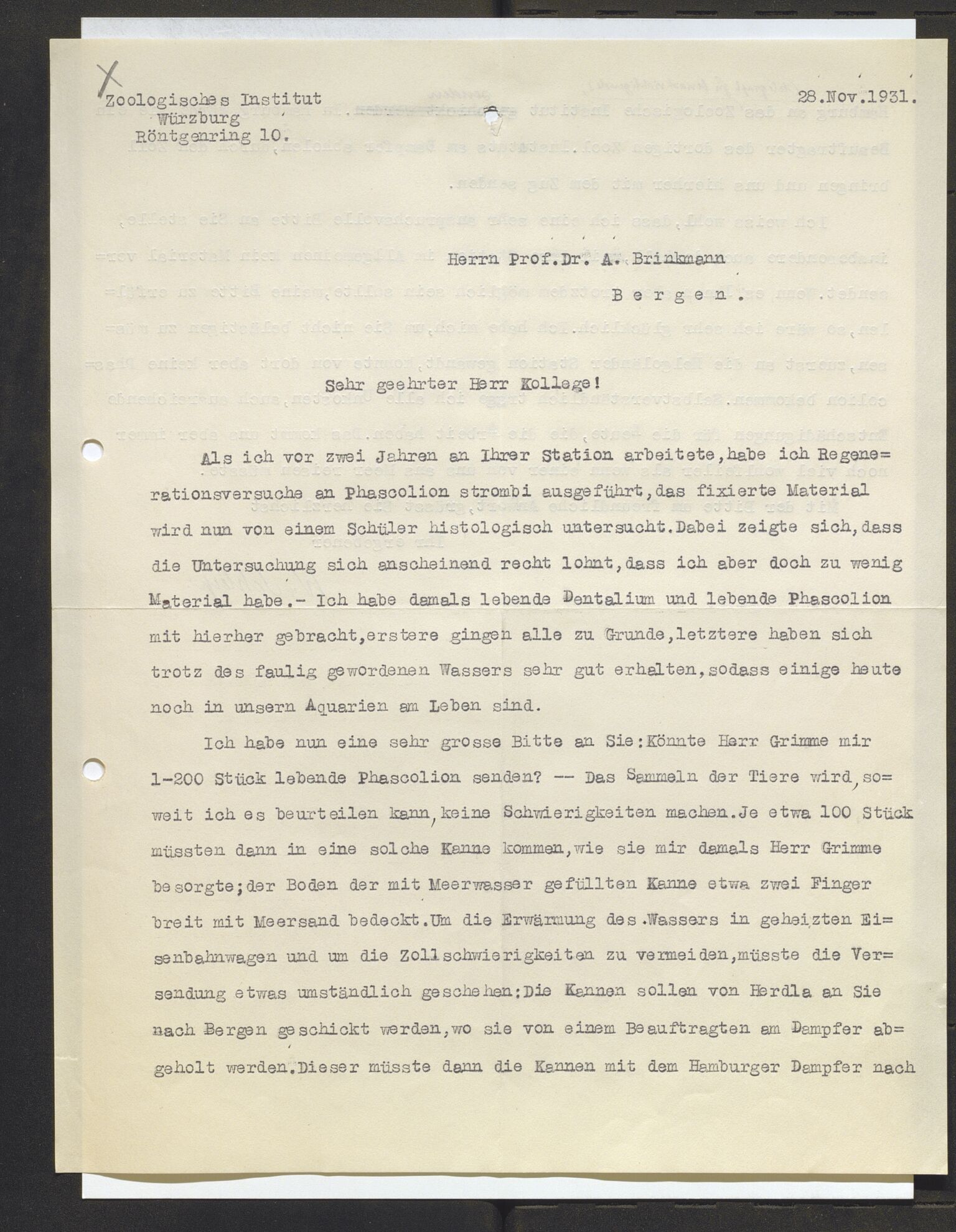 Bergens Museum, AV/SAB-A-17301/13/D/L0002: Korrespondanse , 1928-1940, p. 240