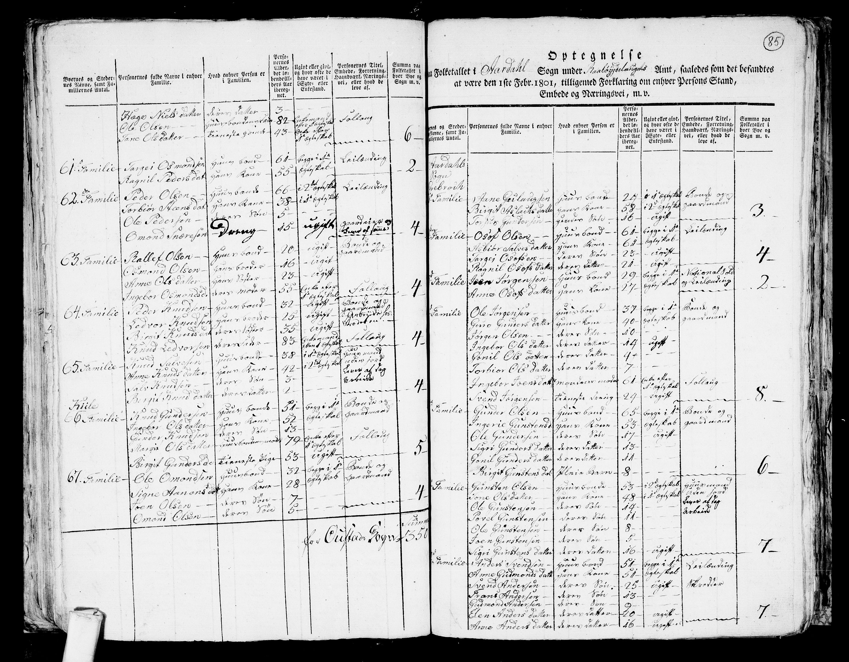 RA, 1801 census for 0938P Bygland, 1801, p. 84b-85a