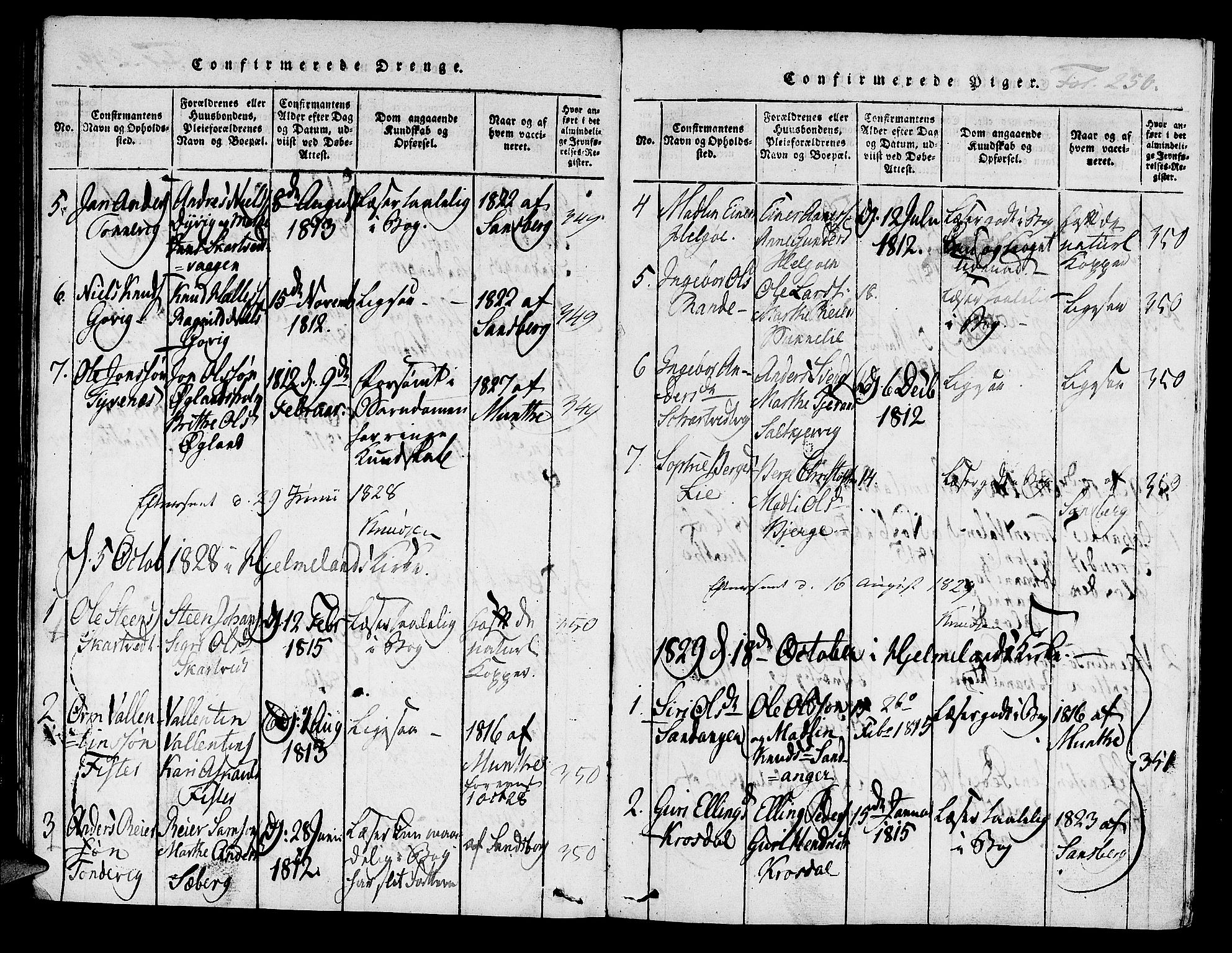 Hjelmeland sokneprestkontor, SAST/A-101843/01/IV/L0004: Parish register (official) no. A 4, 1816-1834, p. 250