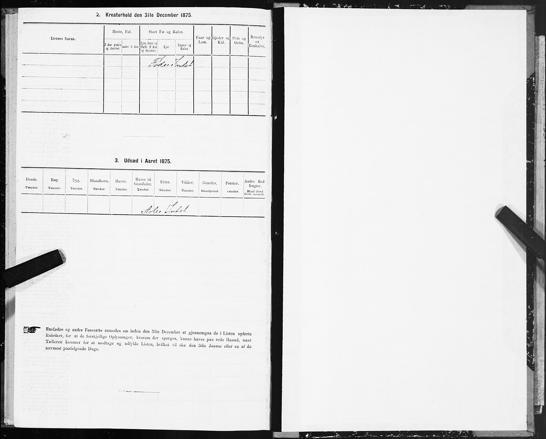 SAT, 1875 census for 1658P Børsa, 1875