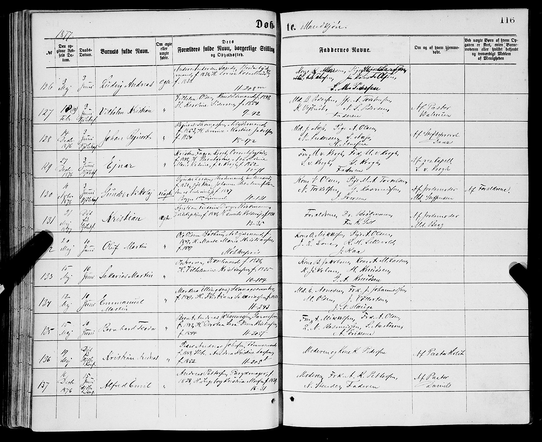 Domkirken sokneprestembete, SAB/A-74801/H/Haa/L0022: Parish register (official) no. B 5, 1872-1878, p. 116
