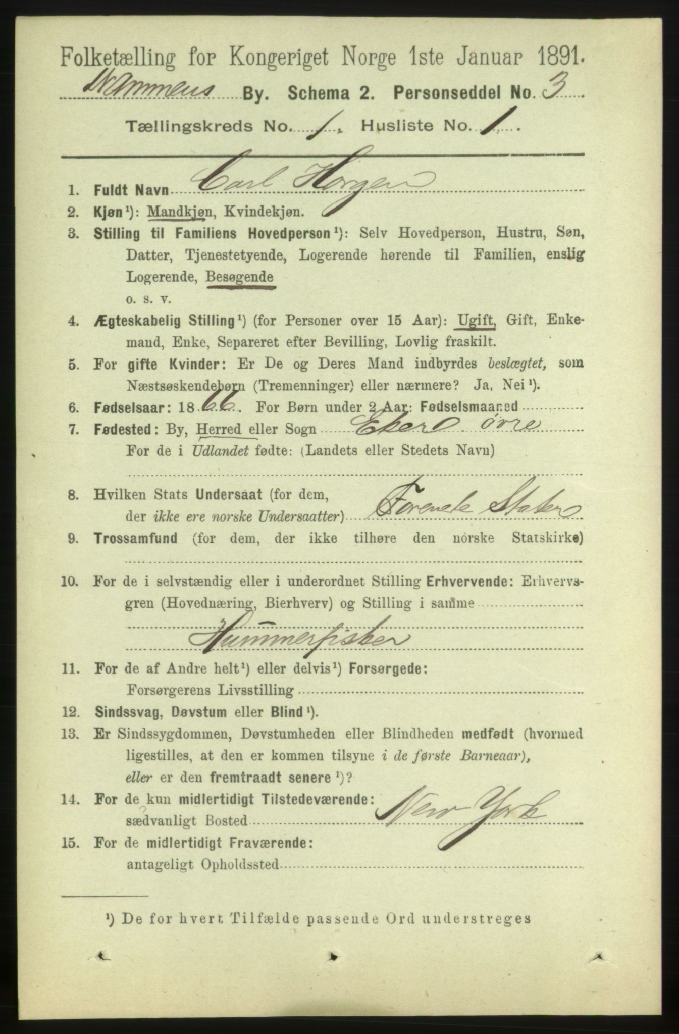 RA, 1891 census for 0602 Drammen, 1891, p. 3896