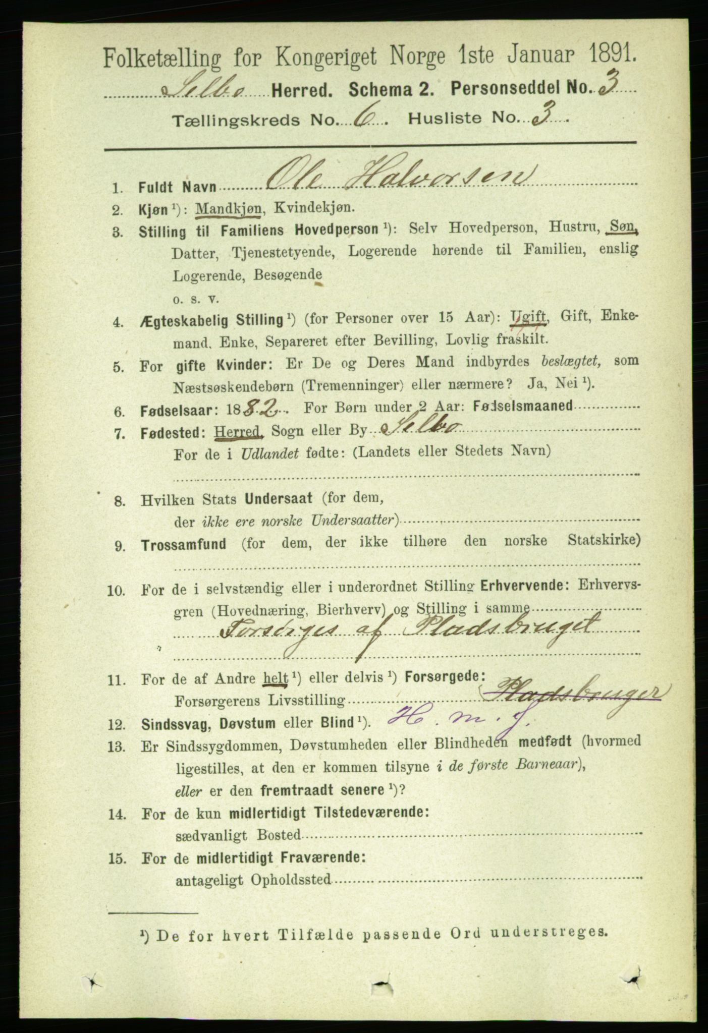 RA, 1891 census for 1664 Selbu, 1891, p. 2143