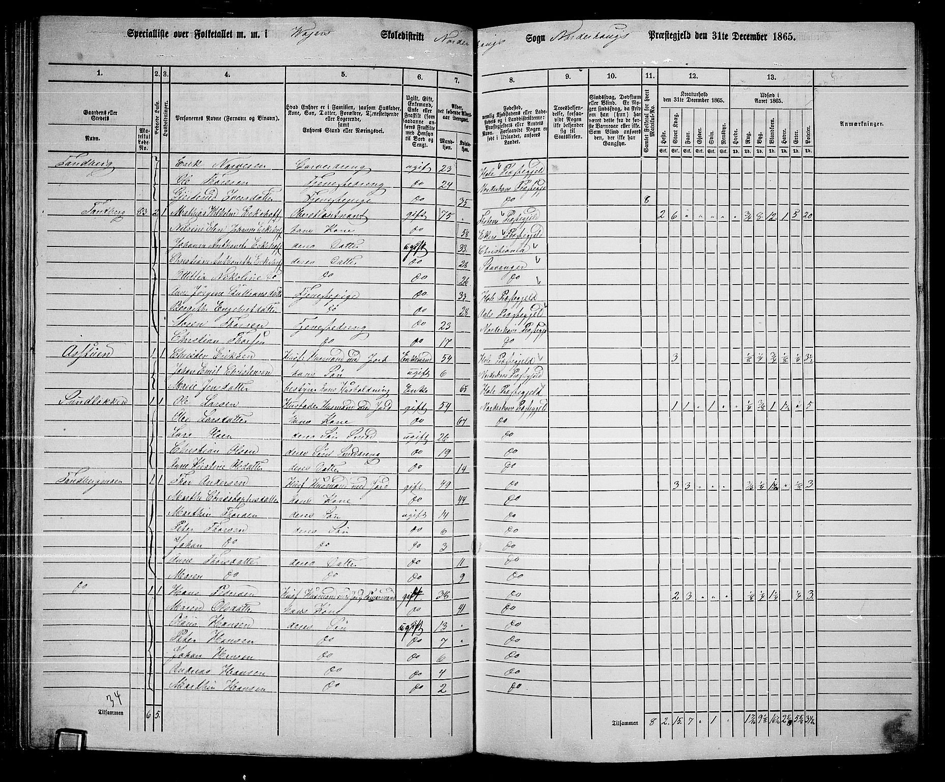 RA, 1865 census for Norderhov/Norderhov, Haug og Lunder, 1865, p. 109