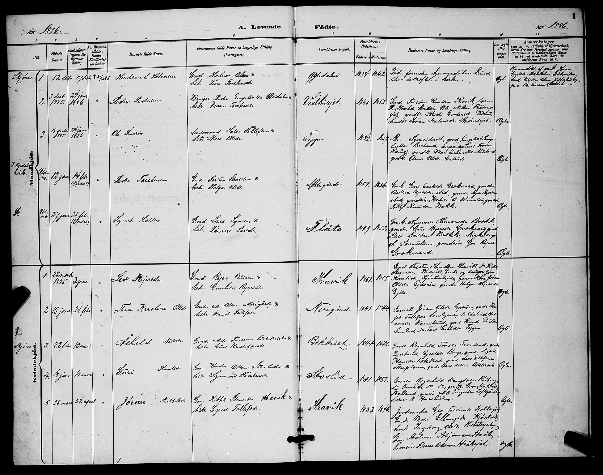 Nore kirkebøker, SAKO/A-238/G/Ga/L0003: Parish register (copy) no. I 3, 1886-1903, p. 1